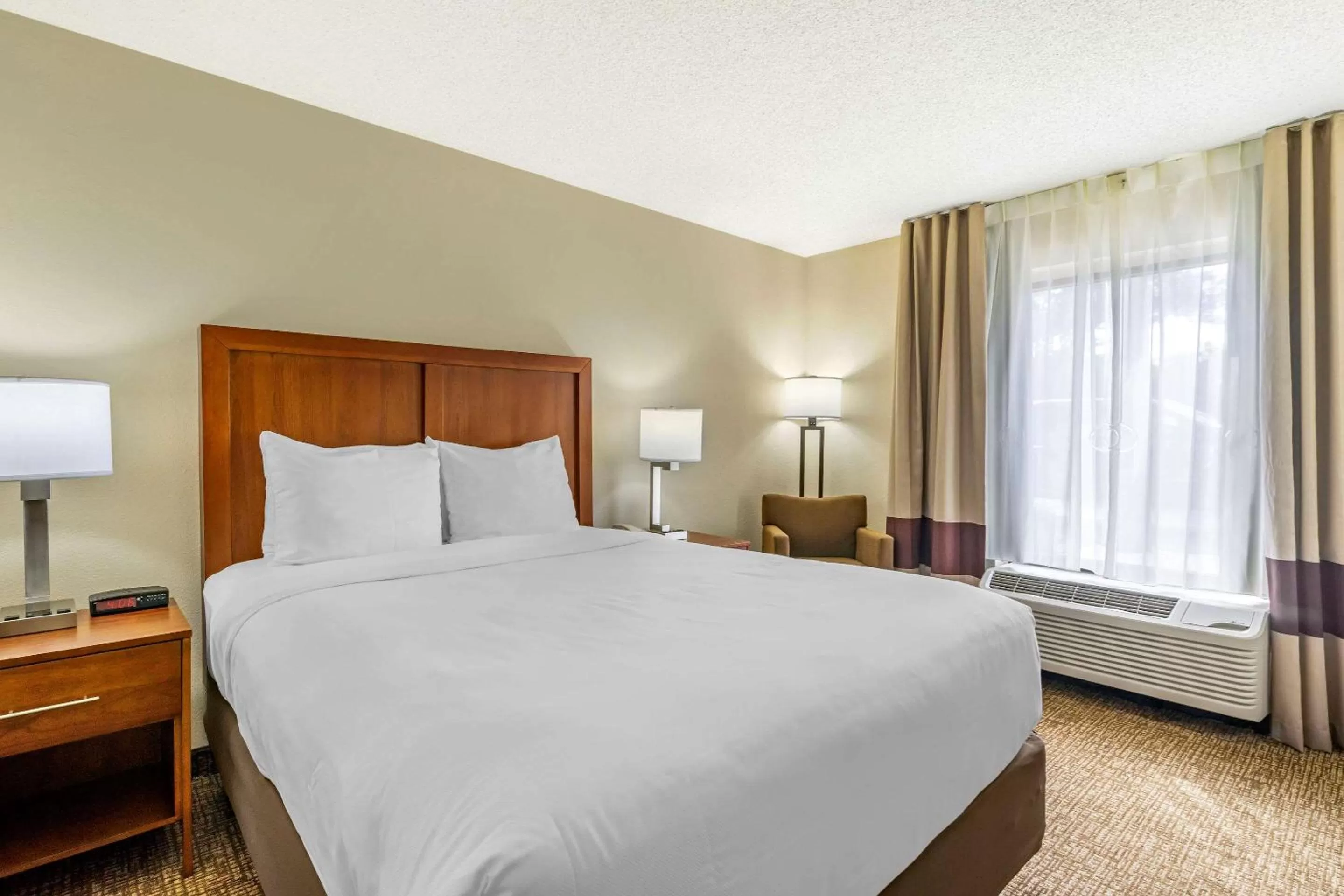 Photo of the whole room, Bed in Comfort Inn & Suites St Pete - Clearwater International Airport