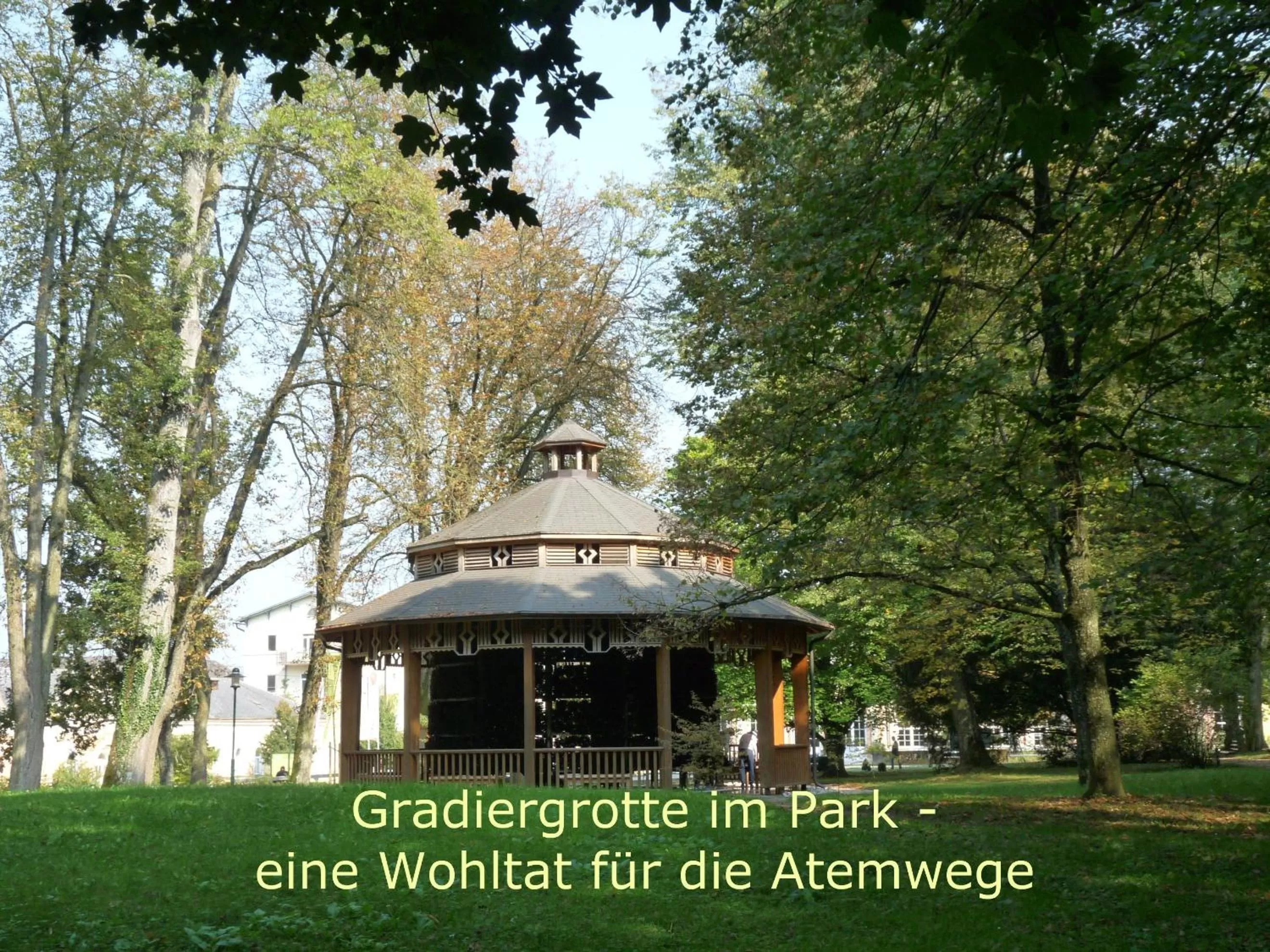 Area and facilities in Parkhotel zur Klause