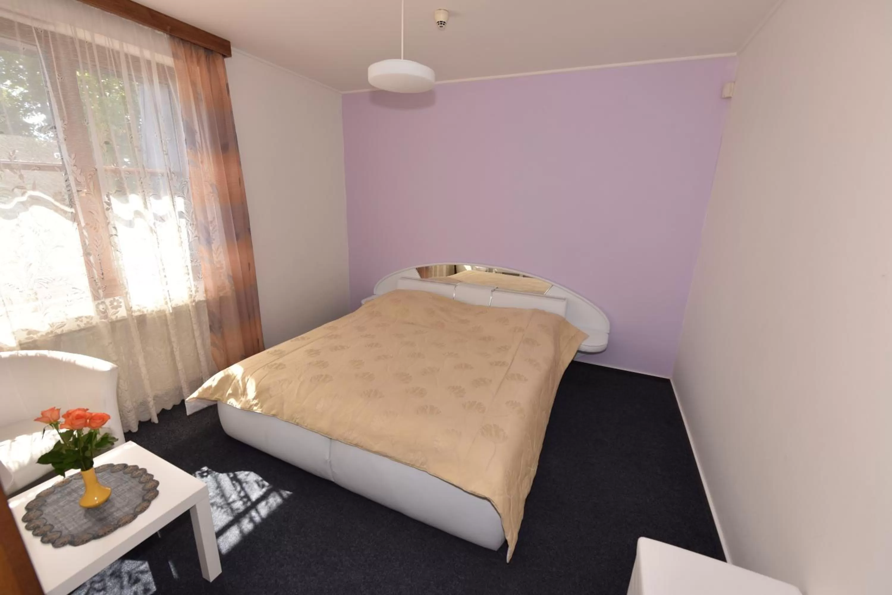 Shower, Bed in Hotel Trilobit