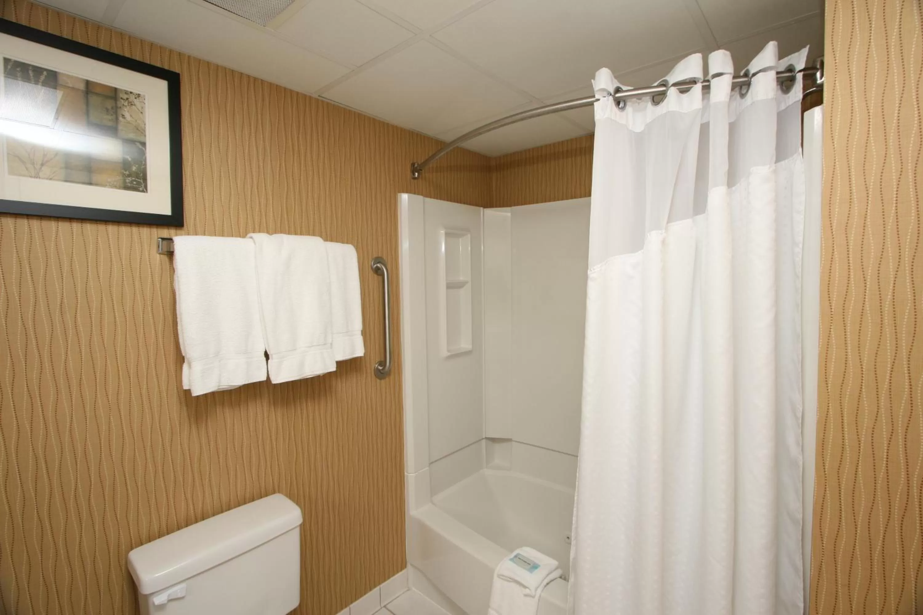Premium King Room - Non-Smoking in Country Inn & Suites by Radisson, Shelby, NC