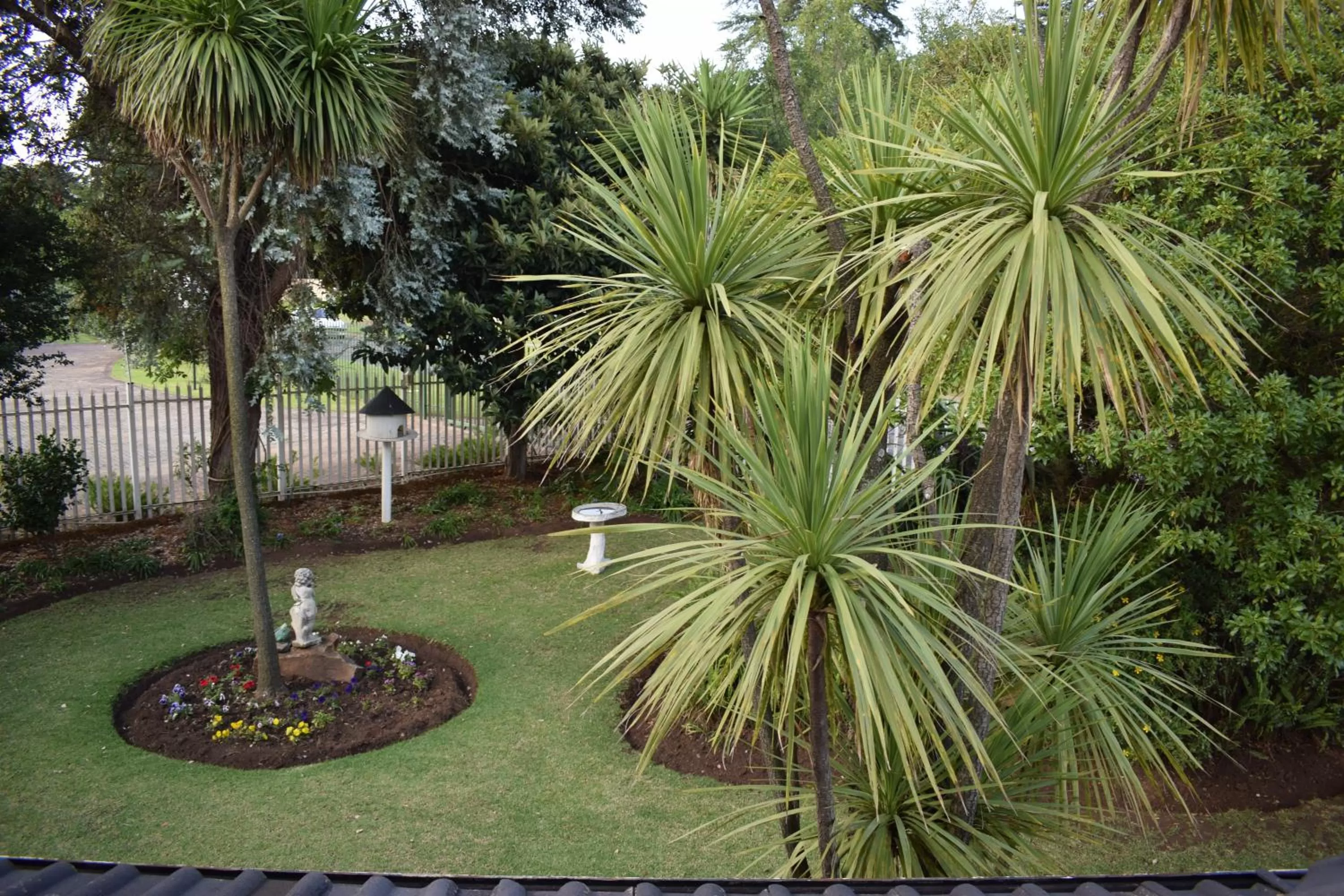 Garden view, Garden in Moye Guest House