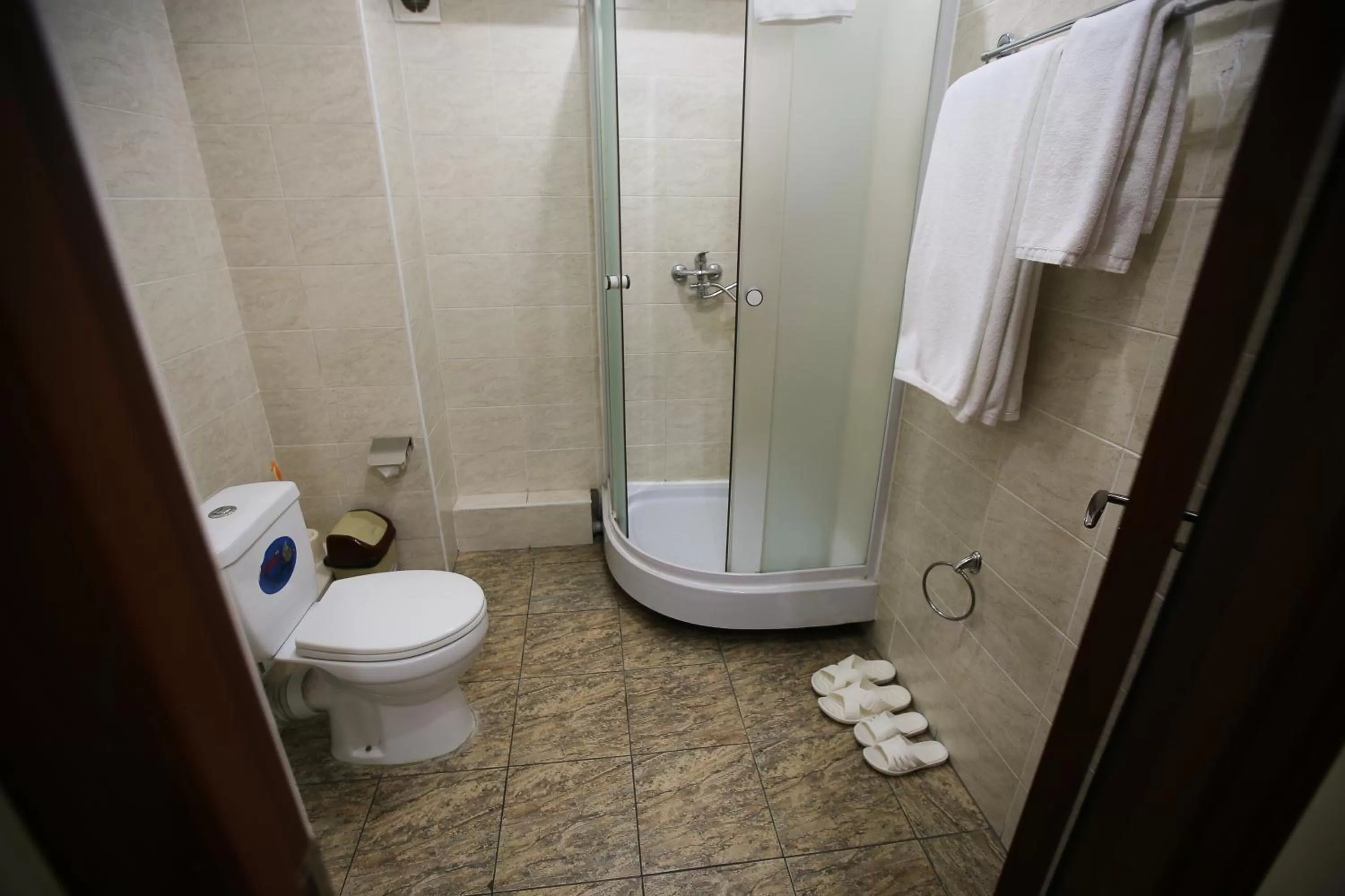 Shower, Bathroom in Altai Business Hotel