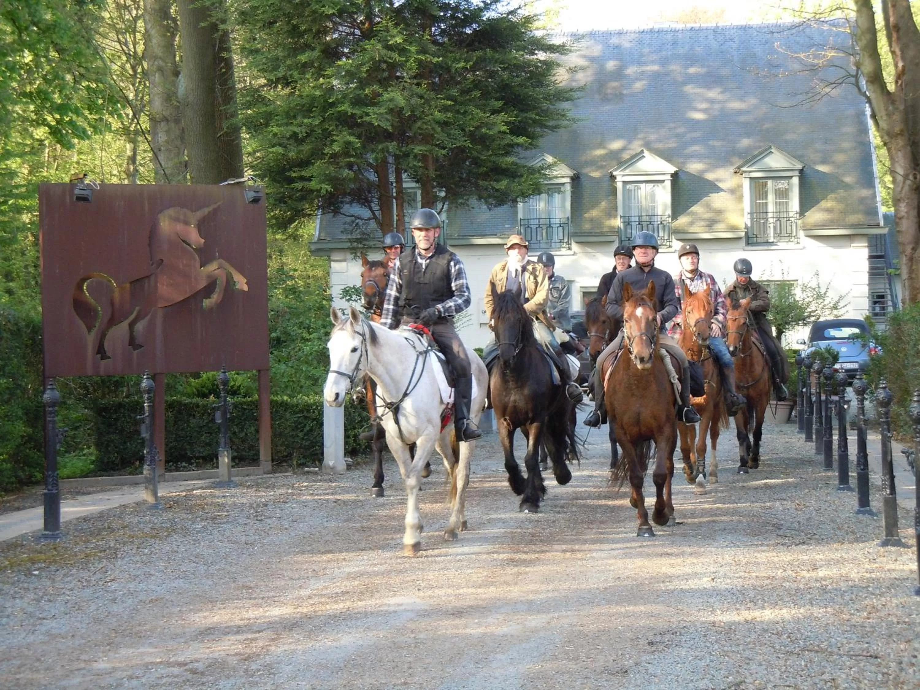 Horse-riding in Hotel Malcot