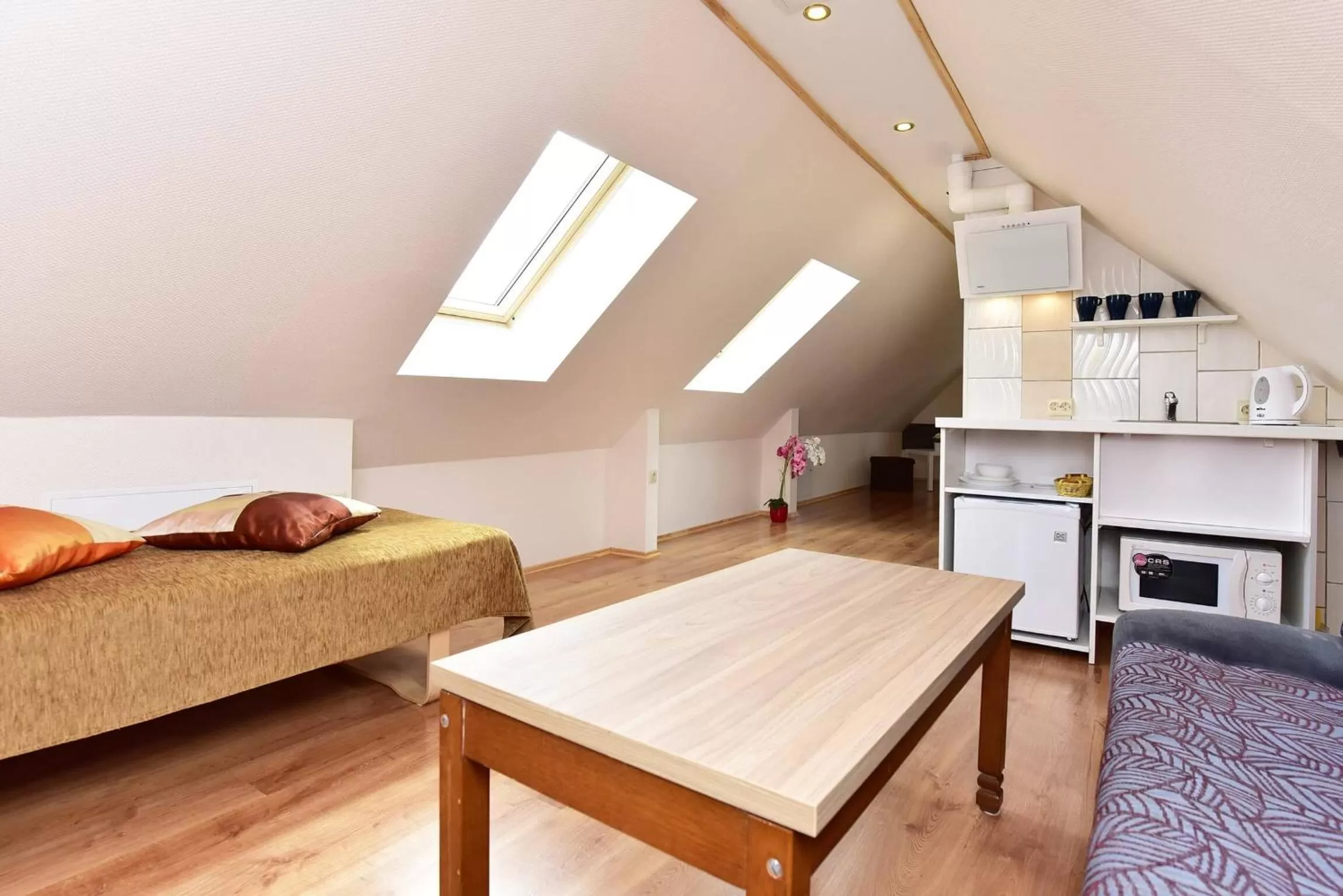 Kitchen or kitchenette, Kitchen/Kitchenette in "Trakaitis" nameliai