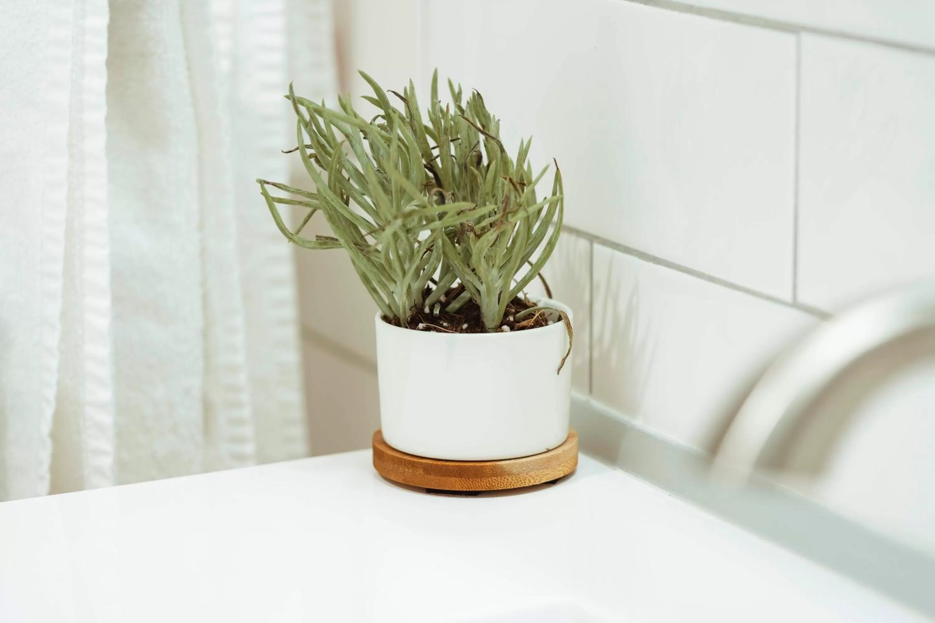 Bed in The Belmont Shore Inn