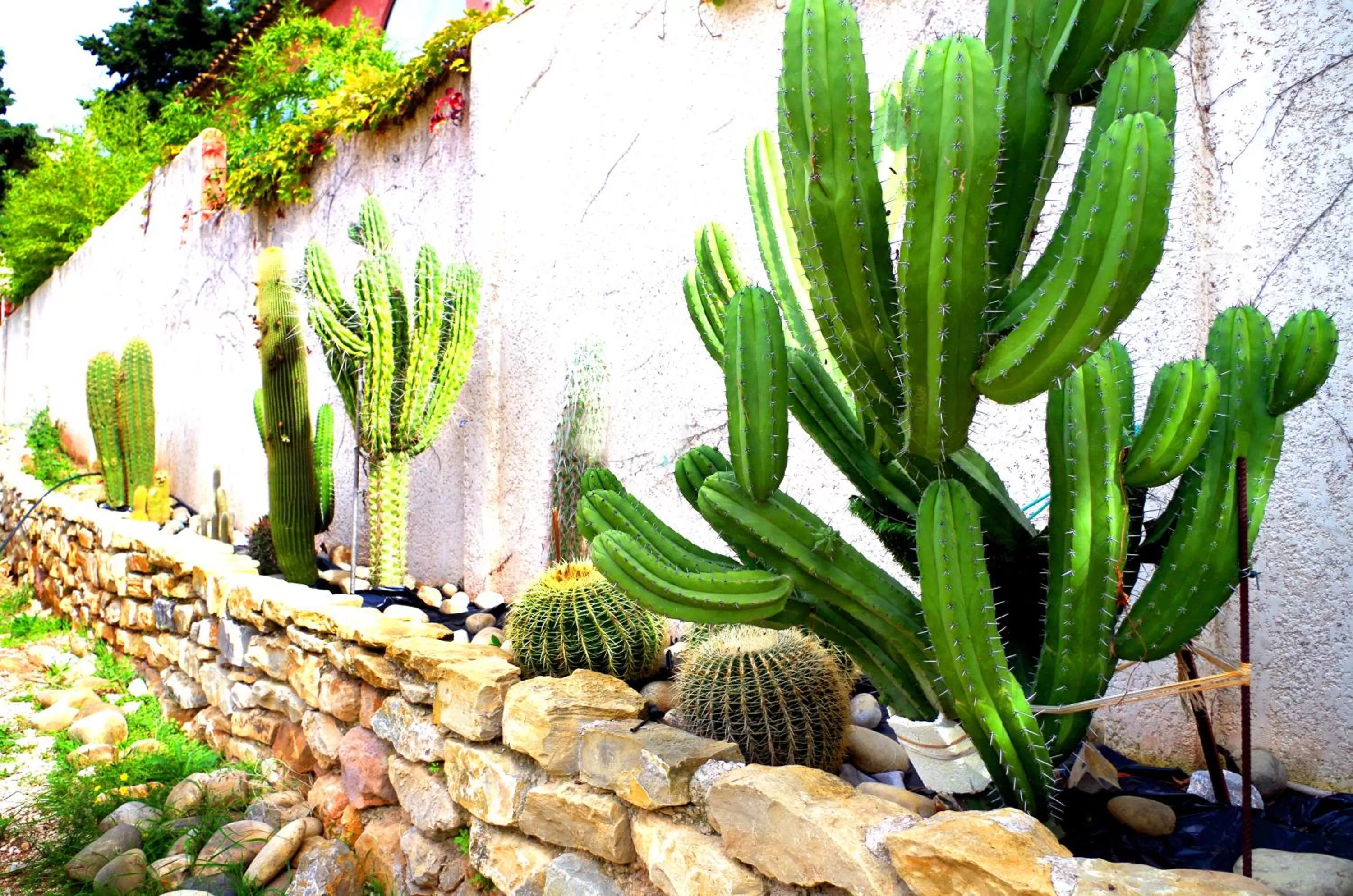 Garden in B&B Val D'azur