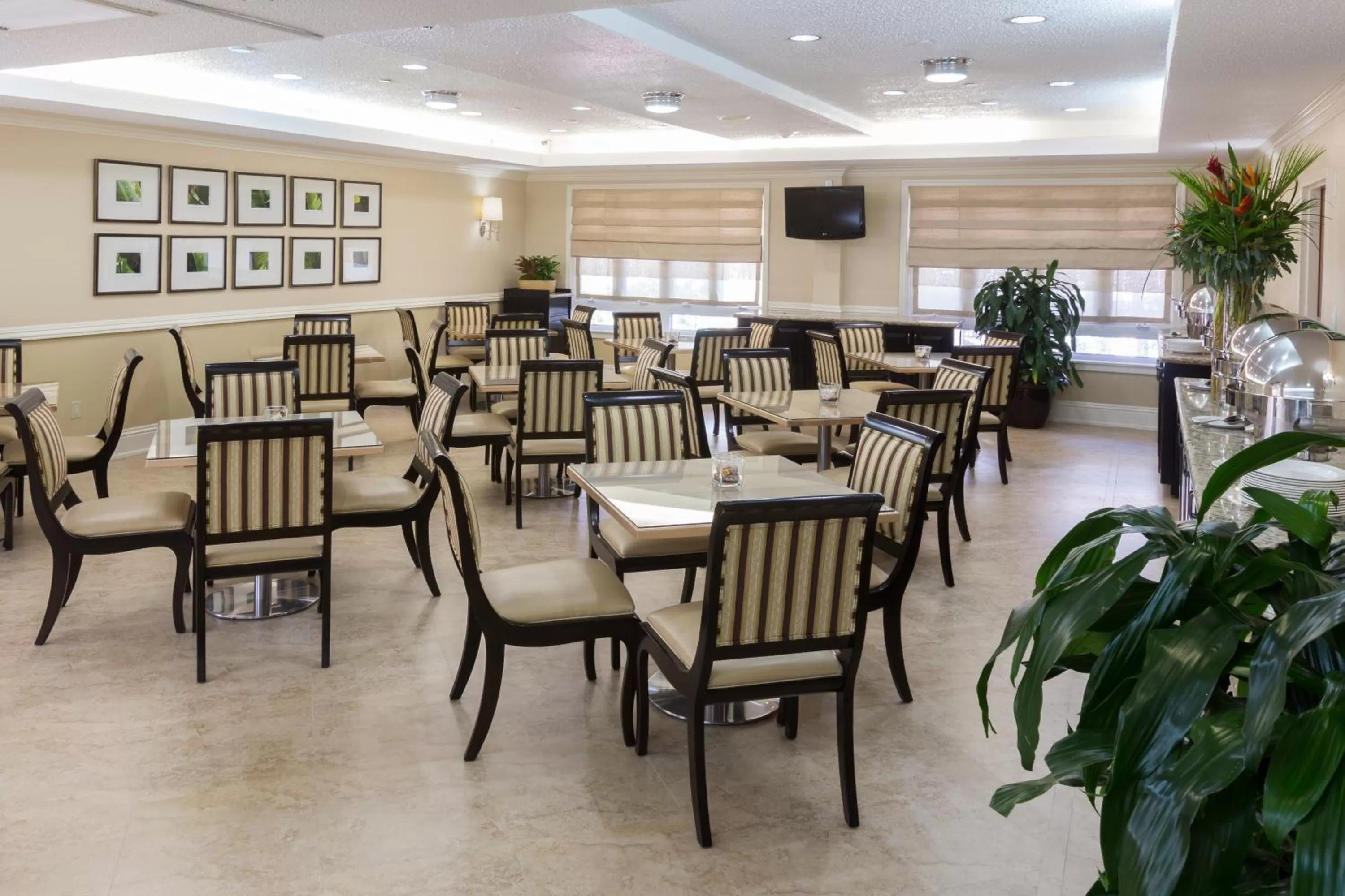 Restaurant/places to eat in Comfort Suites Paradise Island