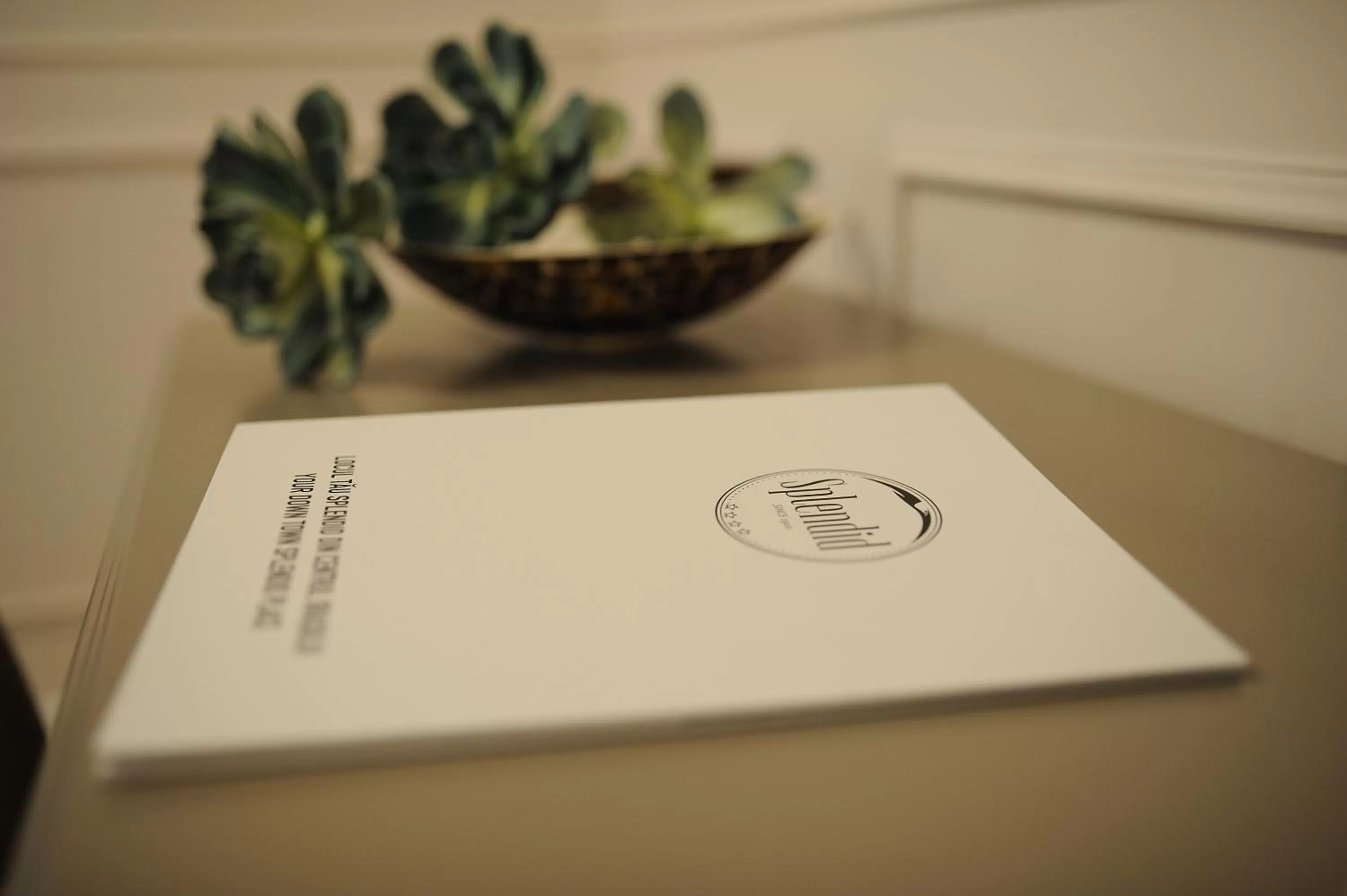 Decorative detail in Hotel Splendid 1900