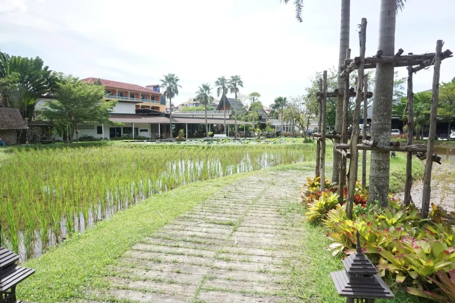 Garden view in Naina Resort & Spa - SHA Extra Plus