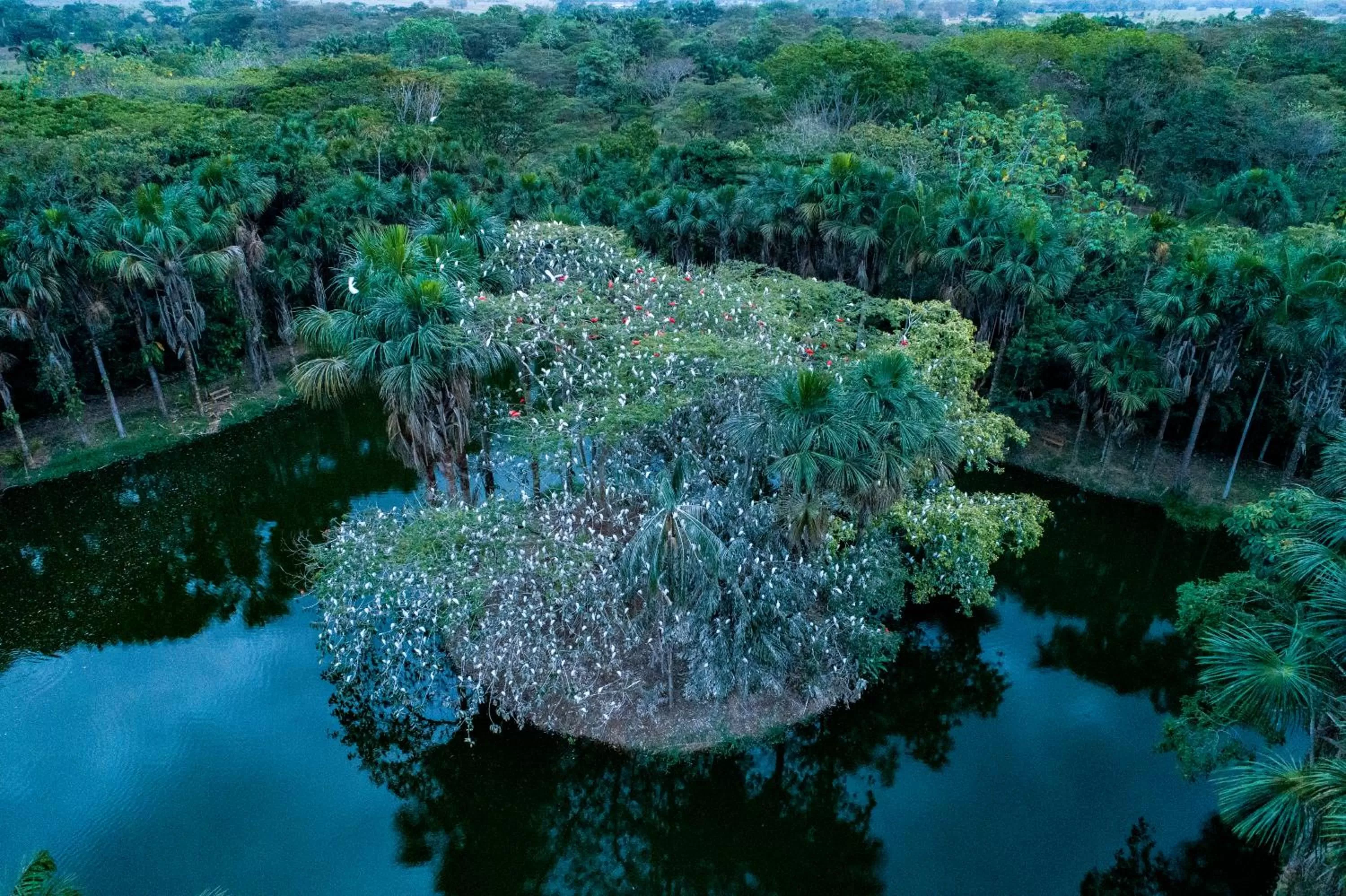 Ecolodge Cosmogénesis