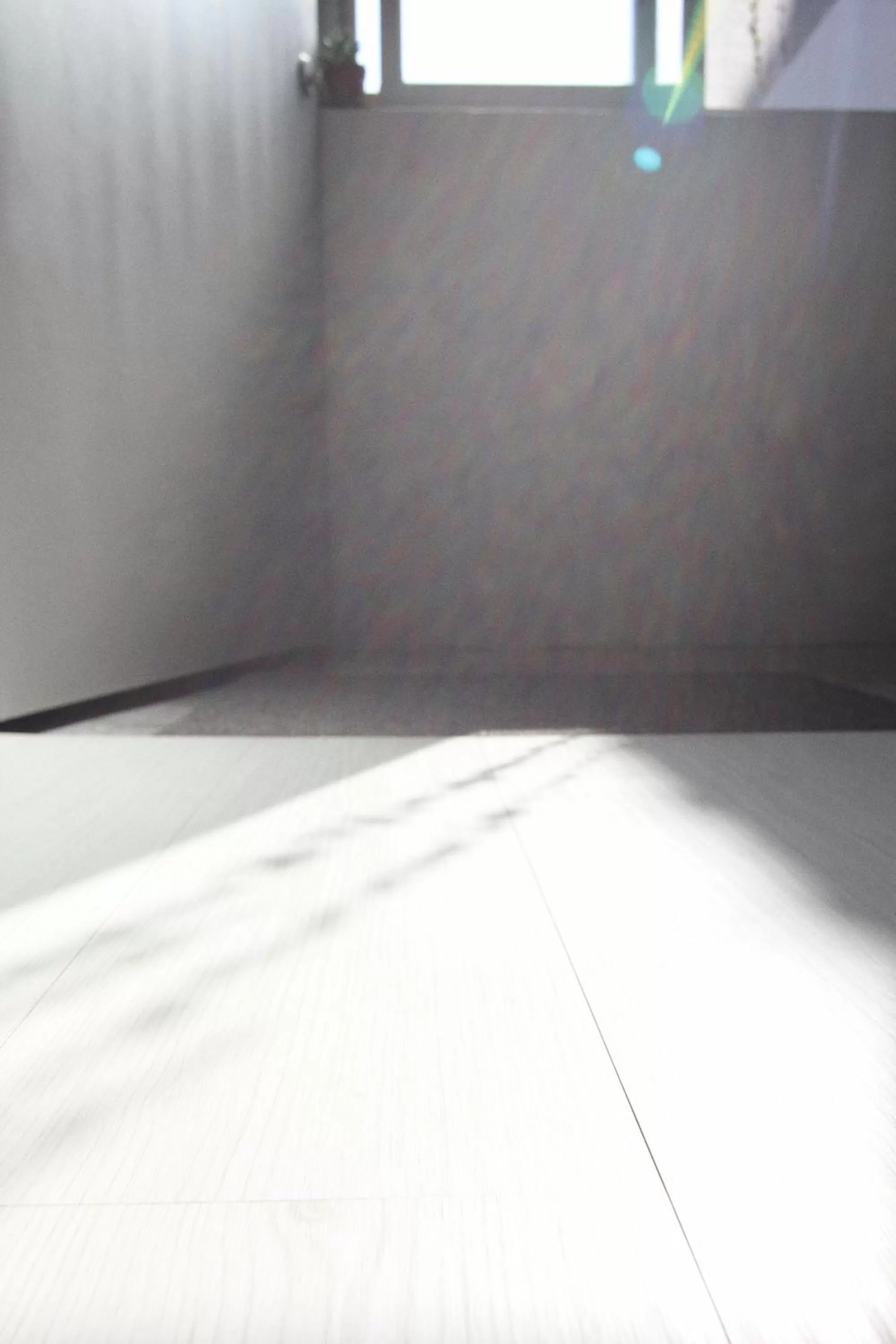 Sunset in The Door Inn