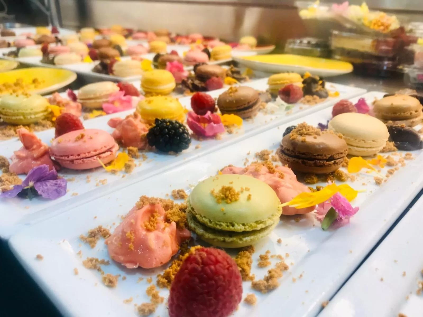 Food in Hotel Neptuno Playa & Spa