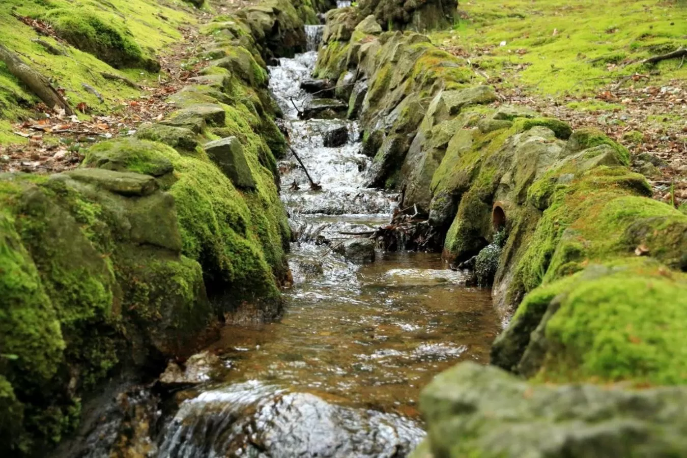 Neighbourhood in Boutique Hotel Sudetia - Medical & SPA