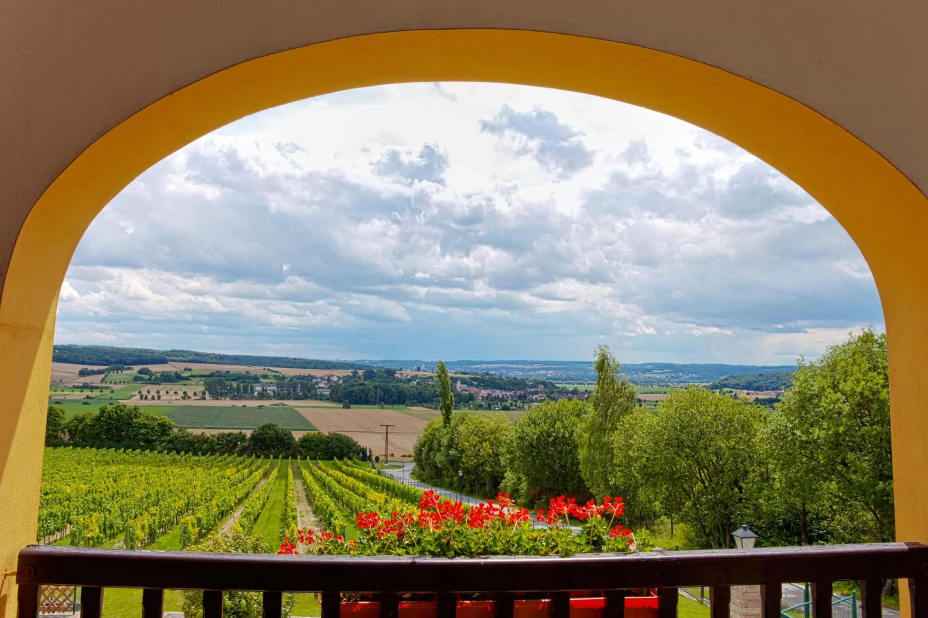 View (from property/room) in Hotel Rebschule