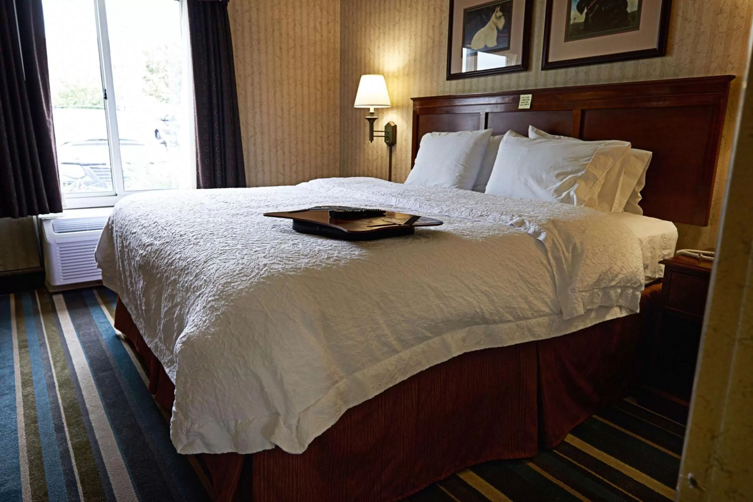 King Room - Disability access with Bathtub/Non-Smoking in Hampton Inn & Suites Scottsburg