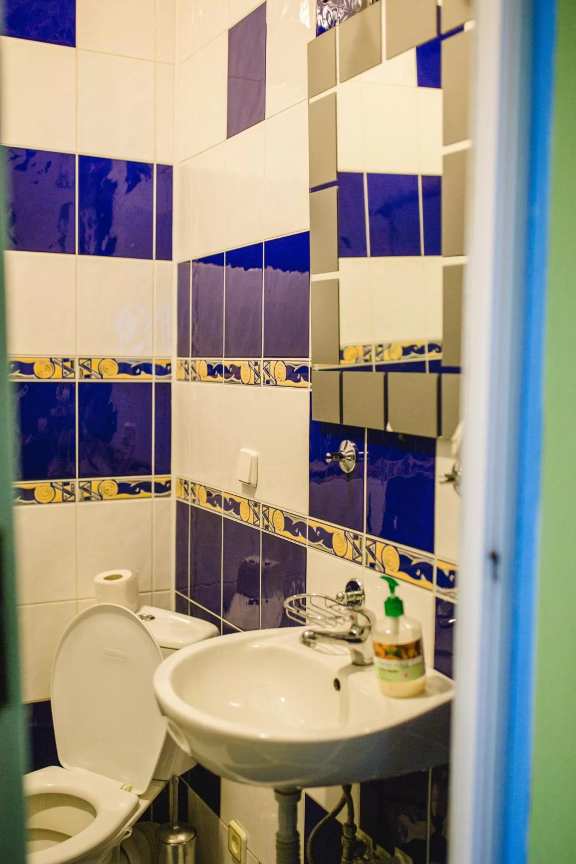 Bathroom in Kolyba Opryshkiv