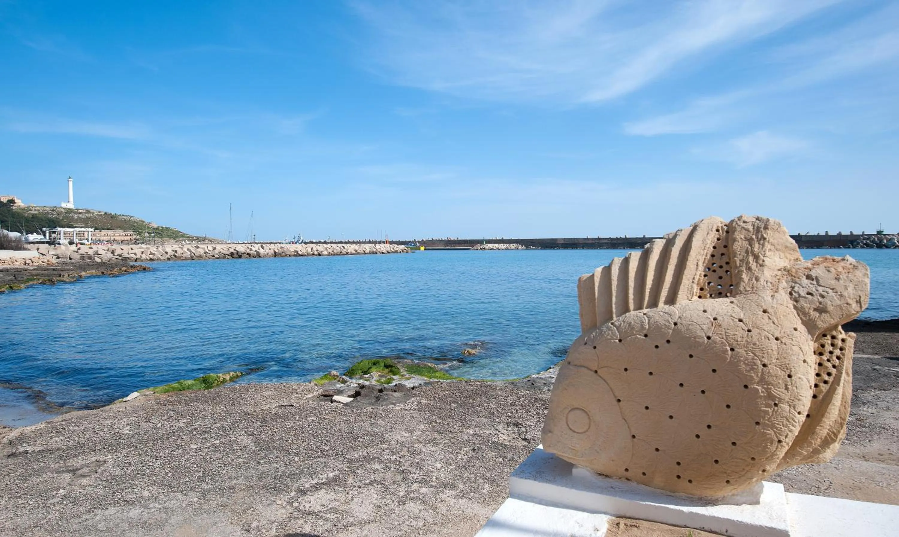 Balcony/Terrace in Hotel Terminal - Caroli Hotels