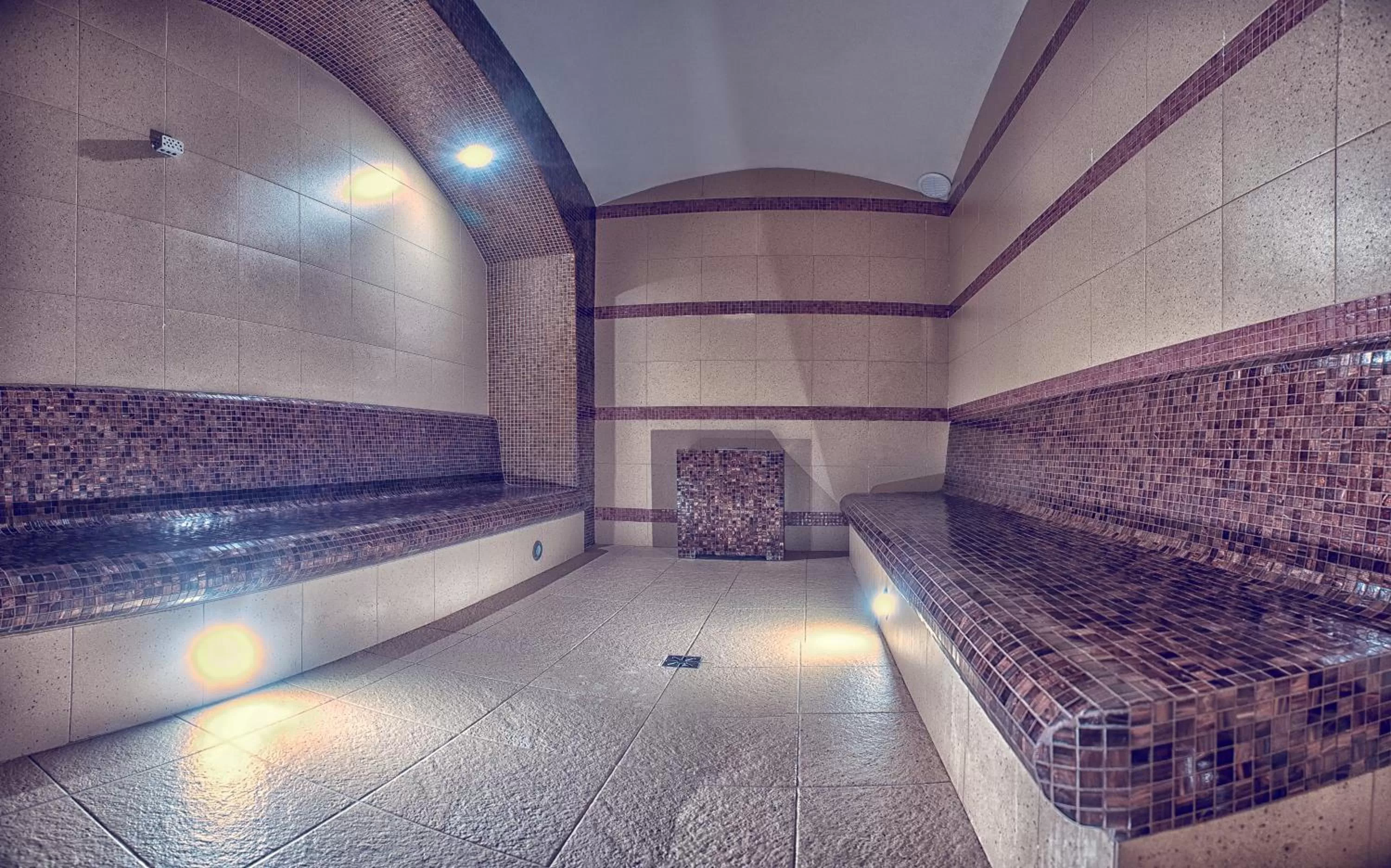 Sauna in Hotel Niemcza Wino & Spa