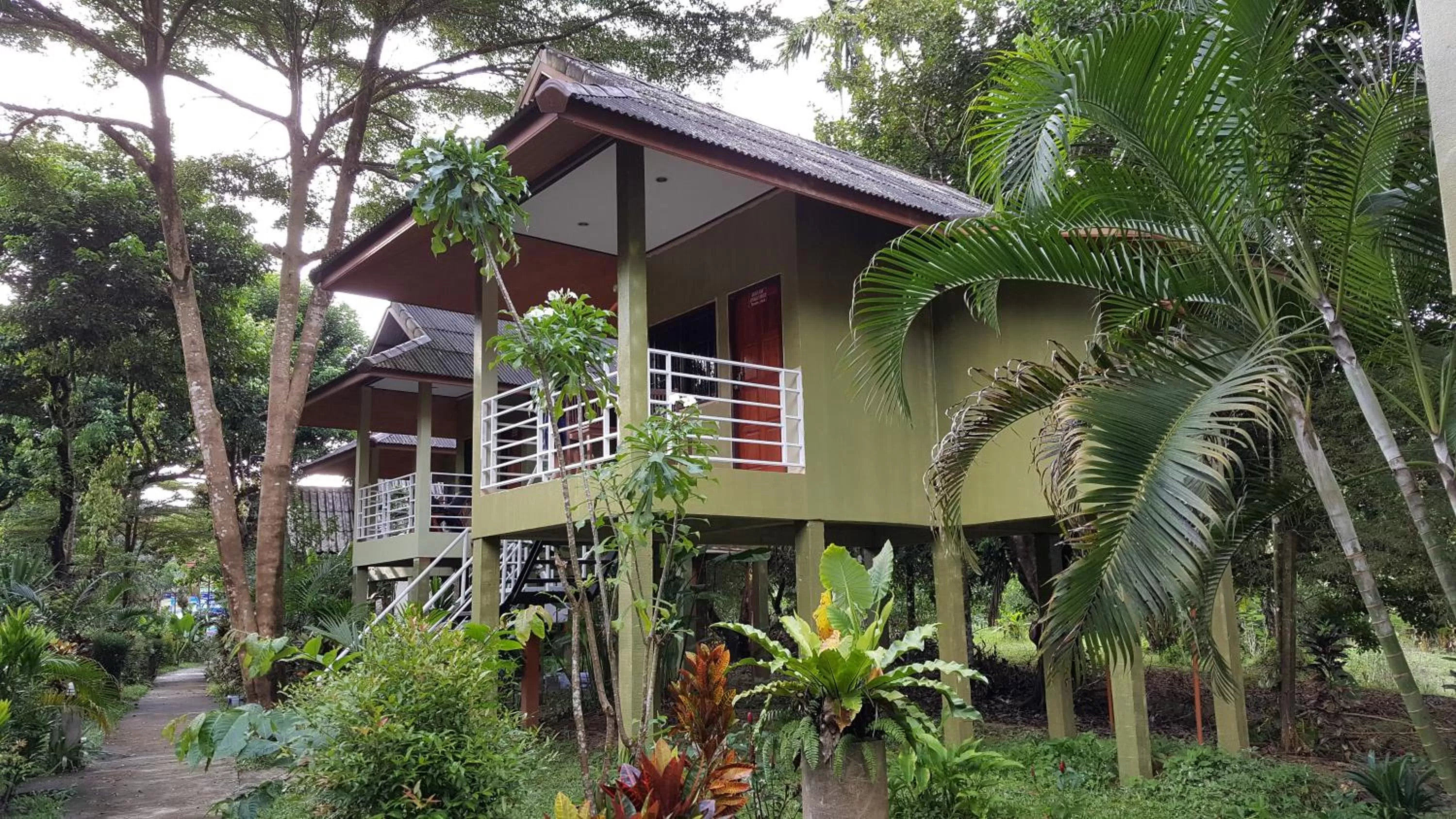 Property building in Khao Sok Jungle Huts Resort