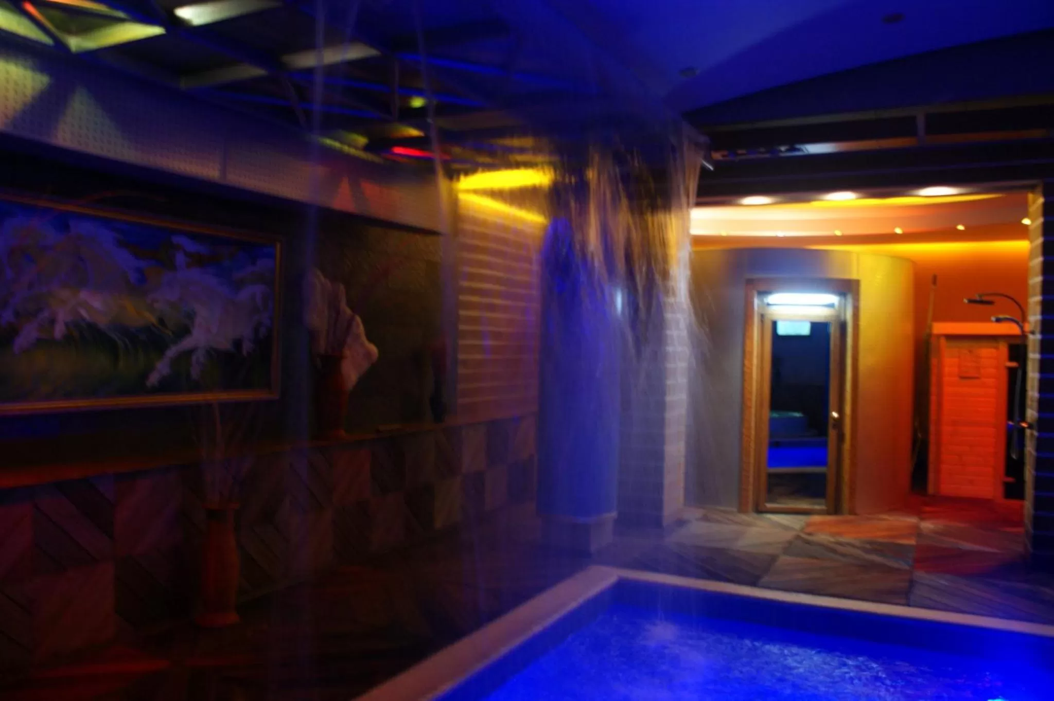 Sauna, Swimming Pool in Hotel Rosa Blu