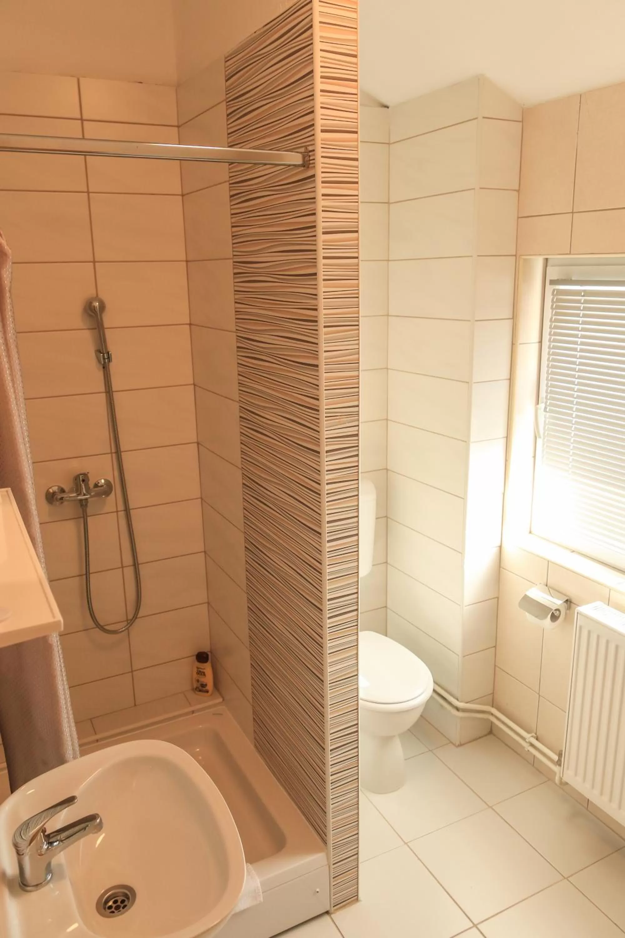 Bathroom in Pansion Centar