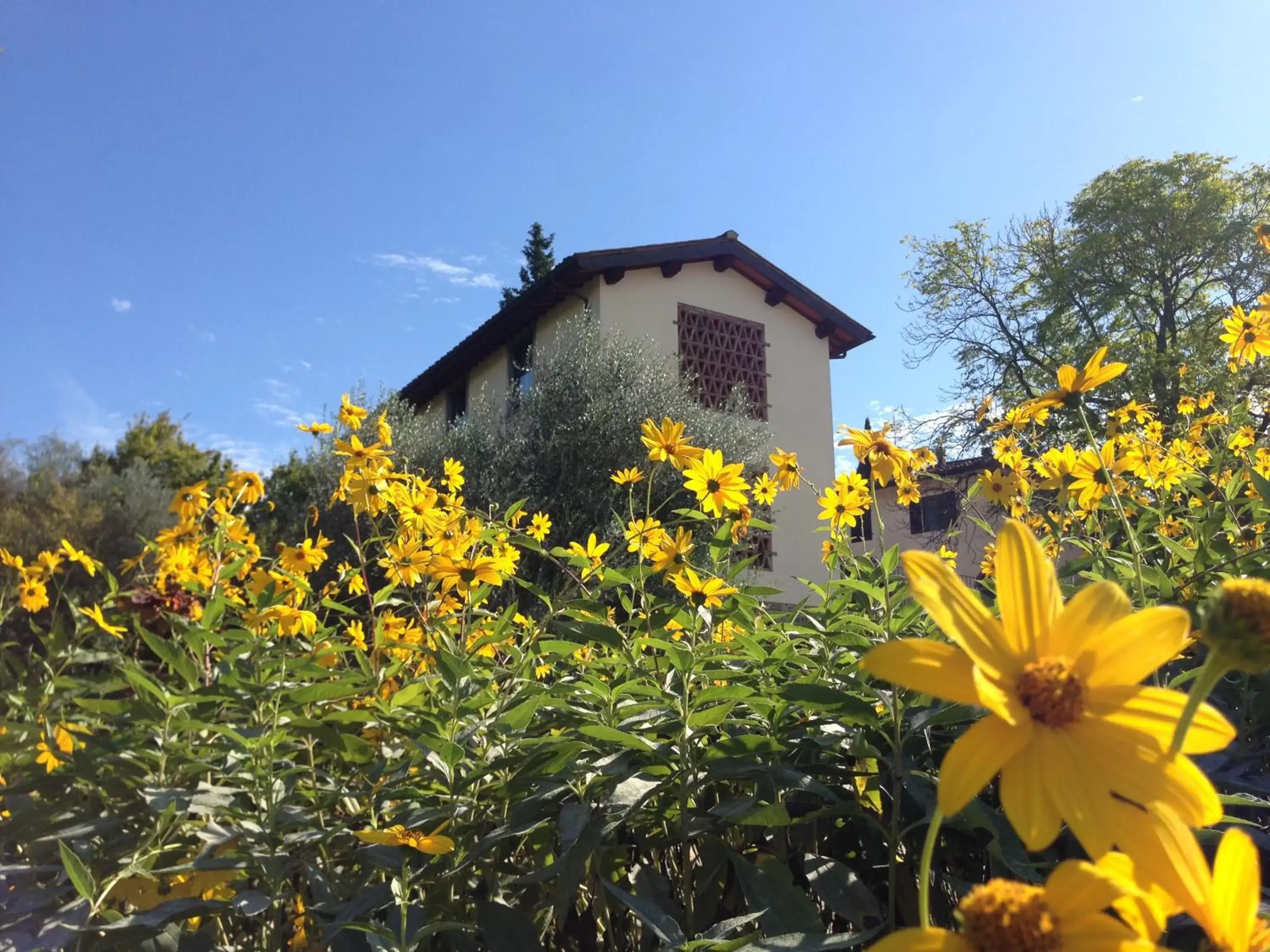 Il Poggiolo Delle Rose Bed&Breakfast Il Poggiolo Delle Rose Bed&Breakfast