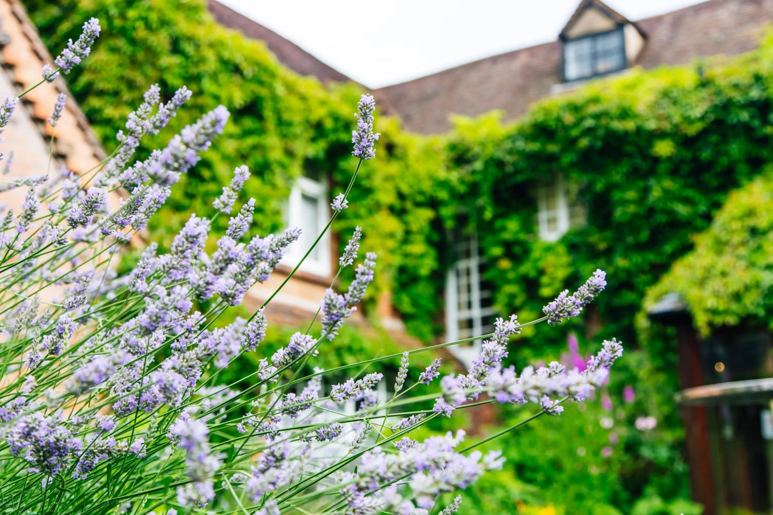 Decorative detail in Old Rectory House, Redditch