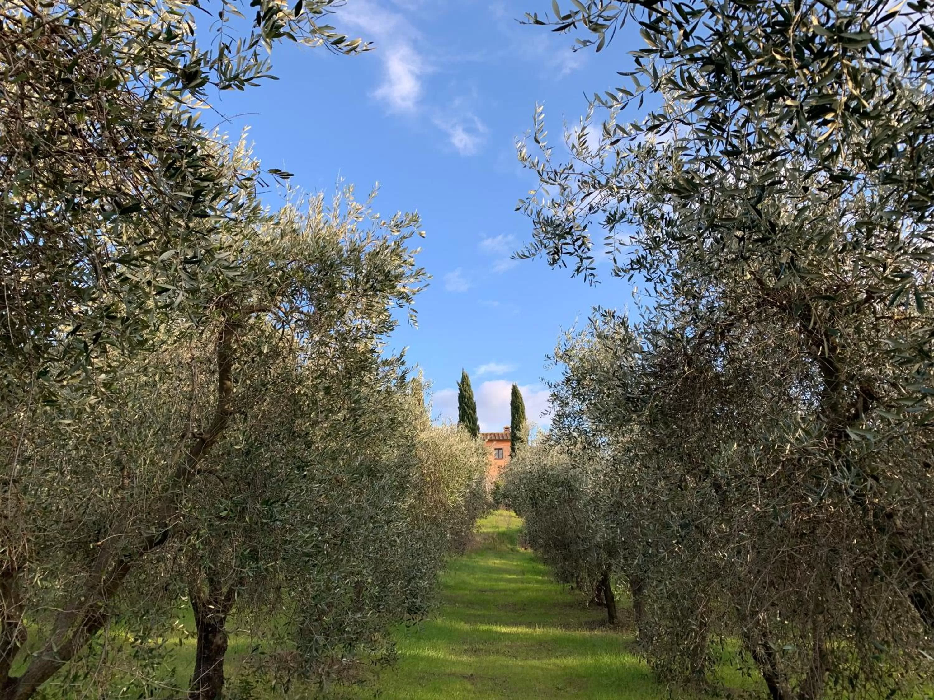 Villa Preselle Country Resort