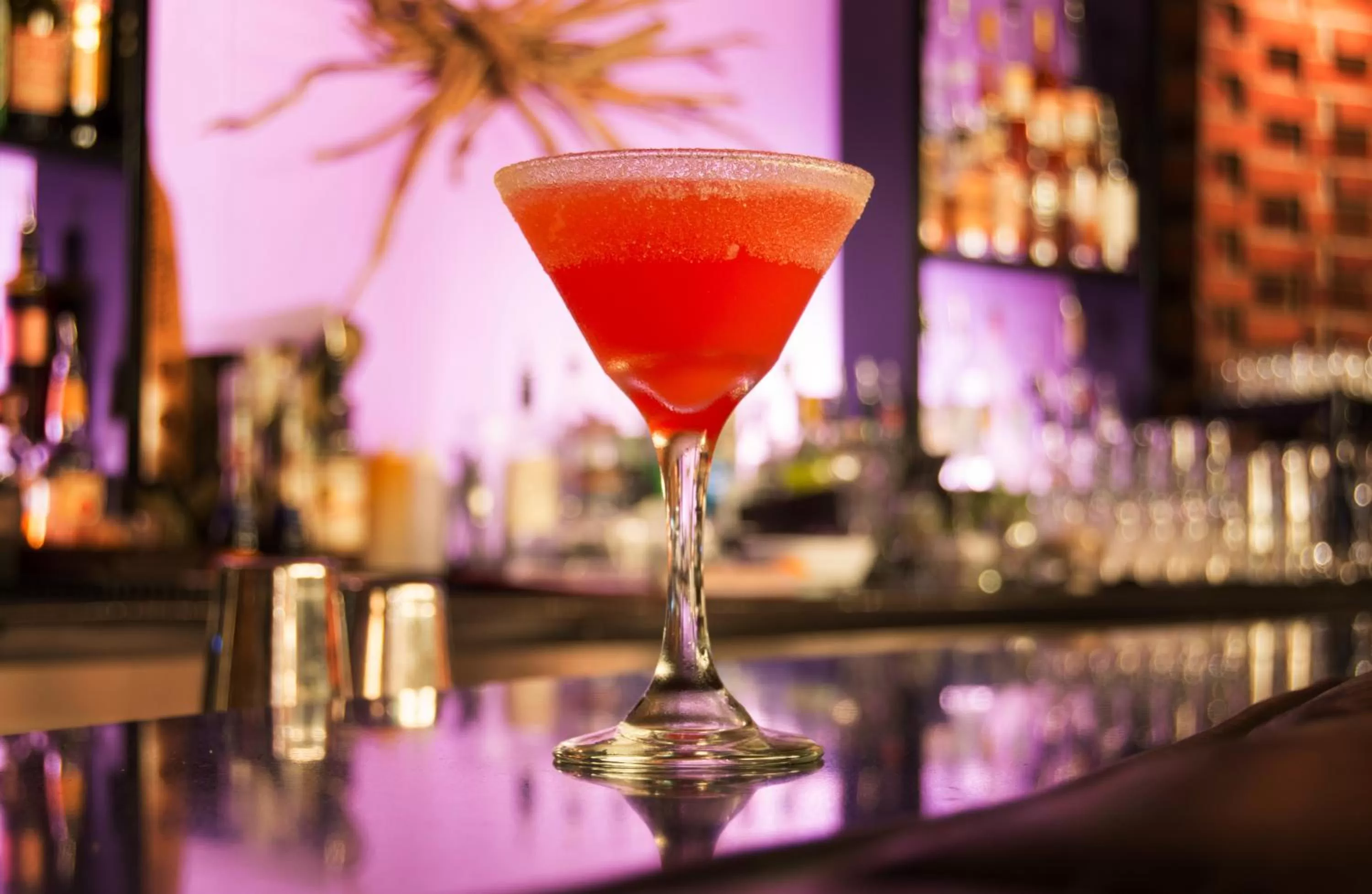 Drinks in Hotel DeLuxe