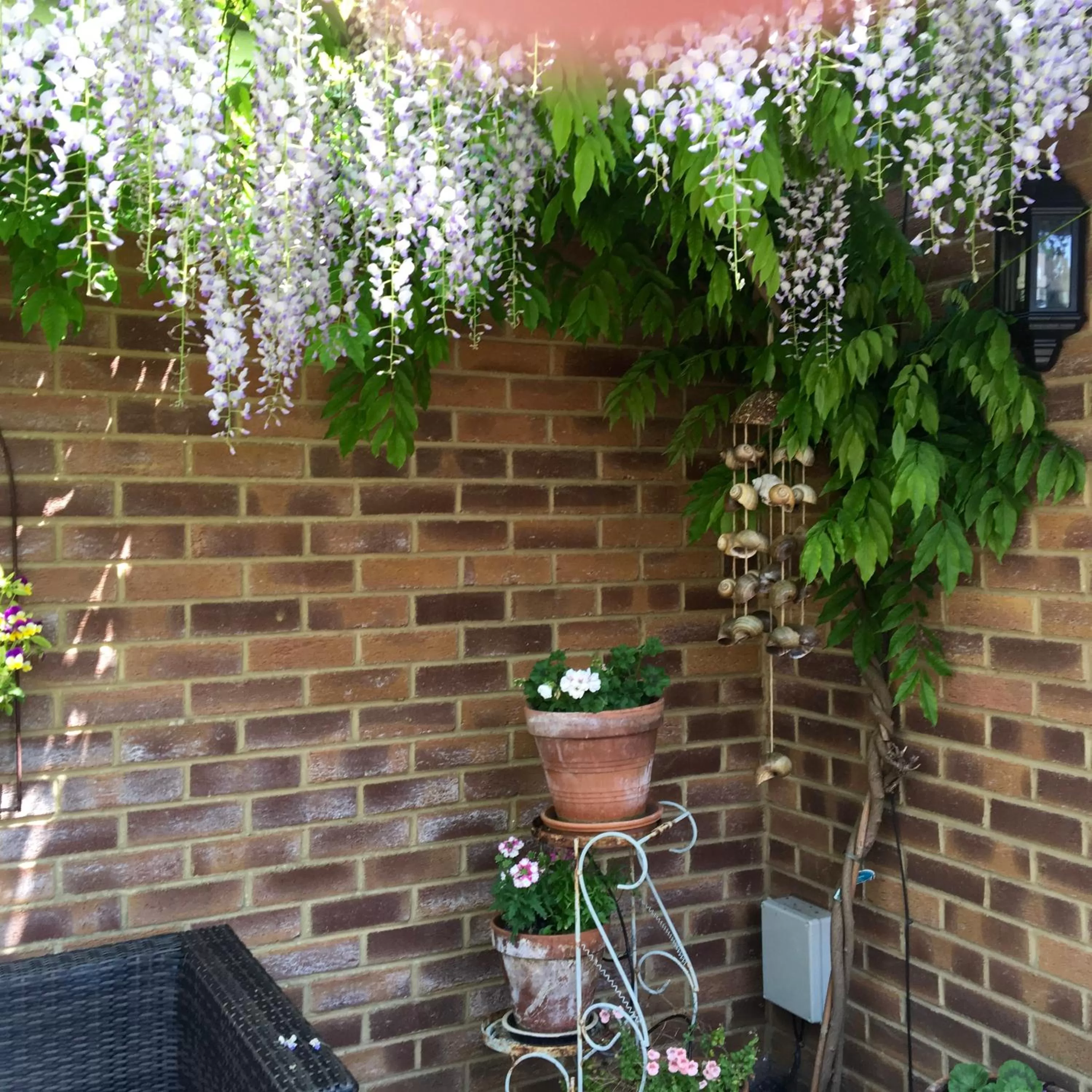 Patio in Bub Lane Cottage