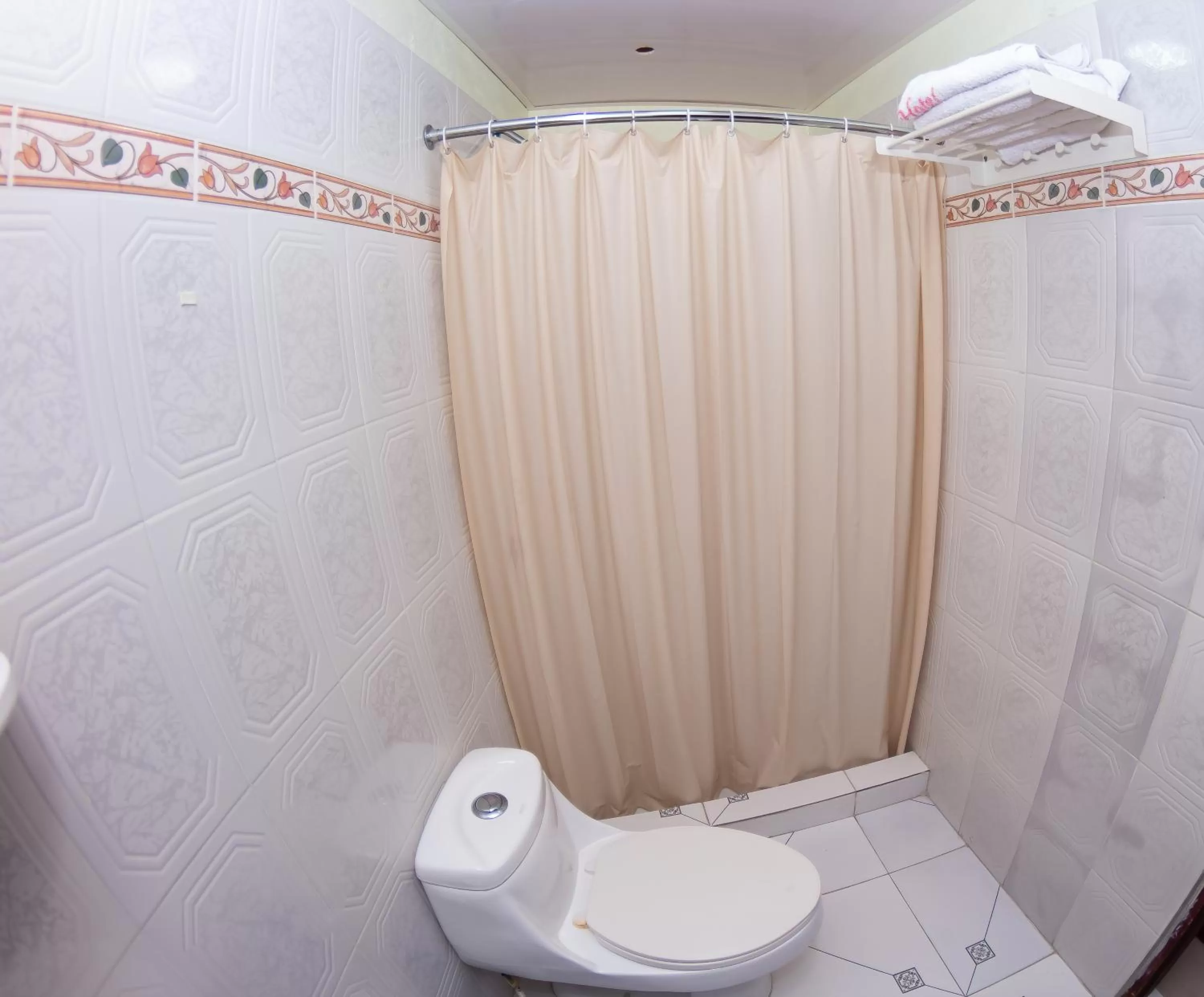 Shower in Hotel Renacer