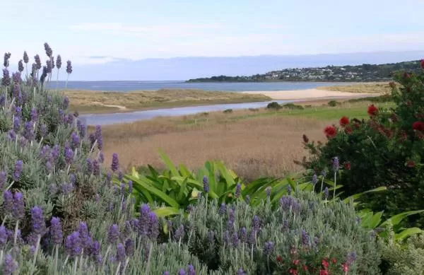 Garden in A Great Ocean View Motel