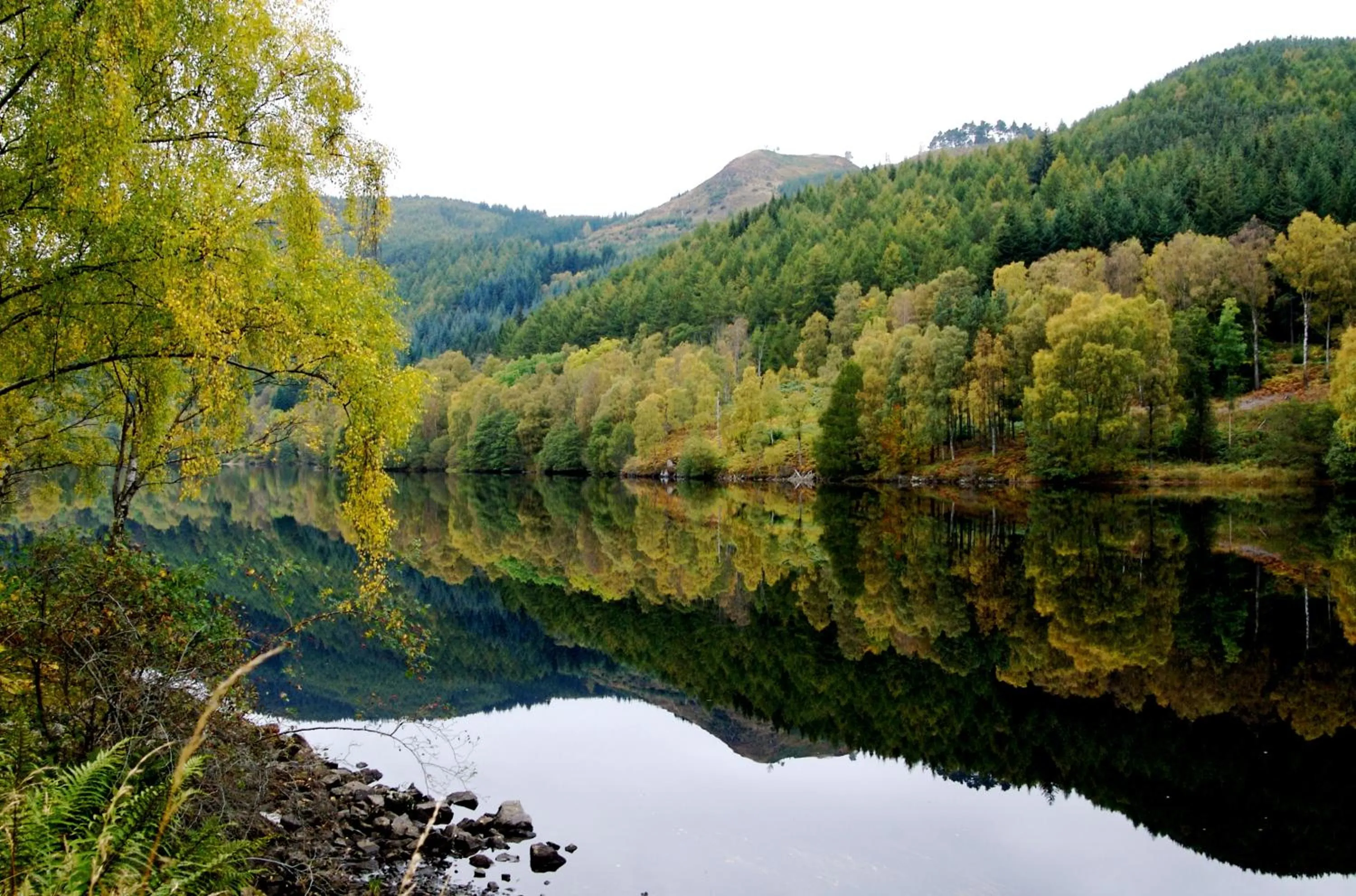 Natural landscape in Boat Country Inn and Restaurant