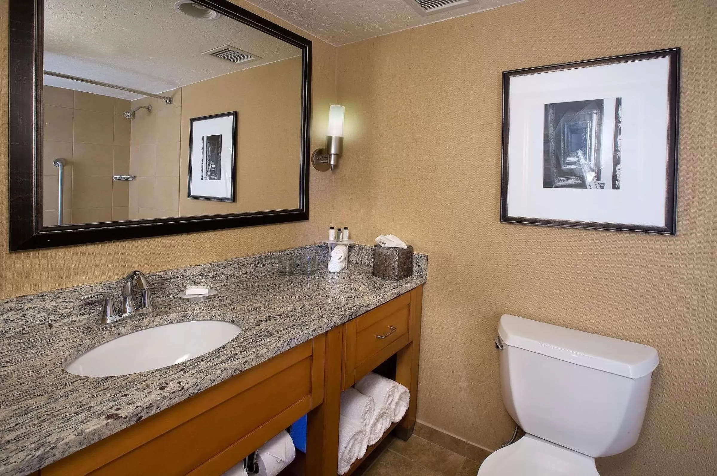 Bathroom in Embassy Suites by Hilton Kansas City International Airport
