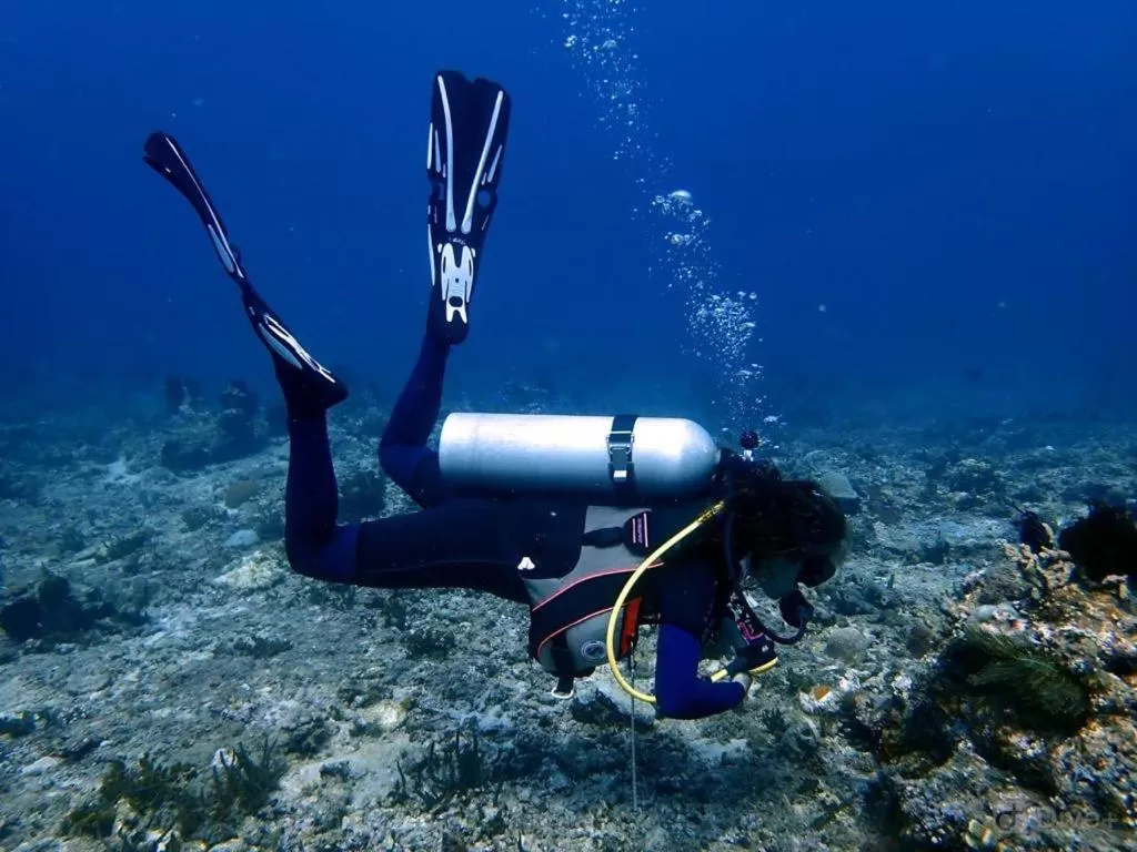 Oceans 5 Dive Resort