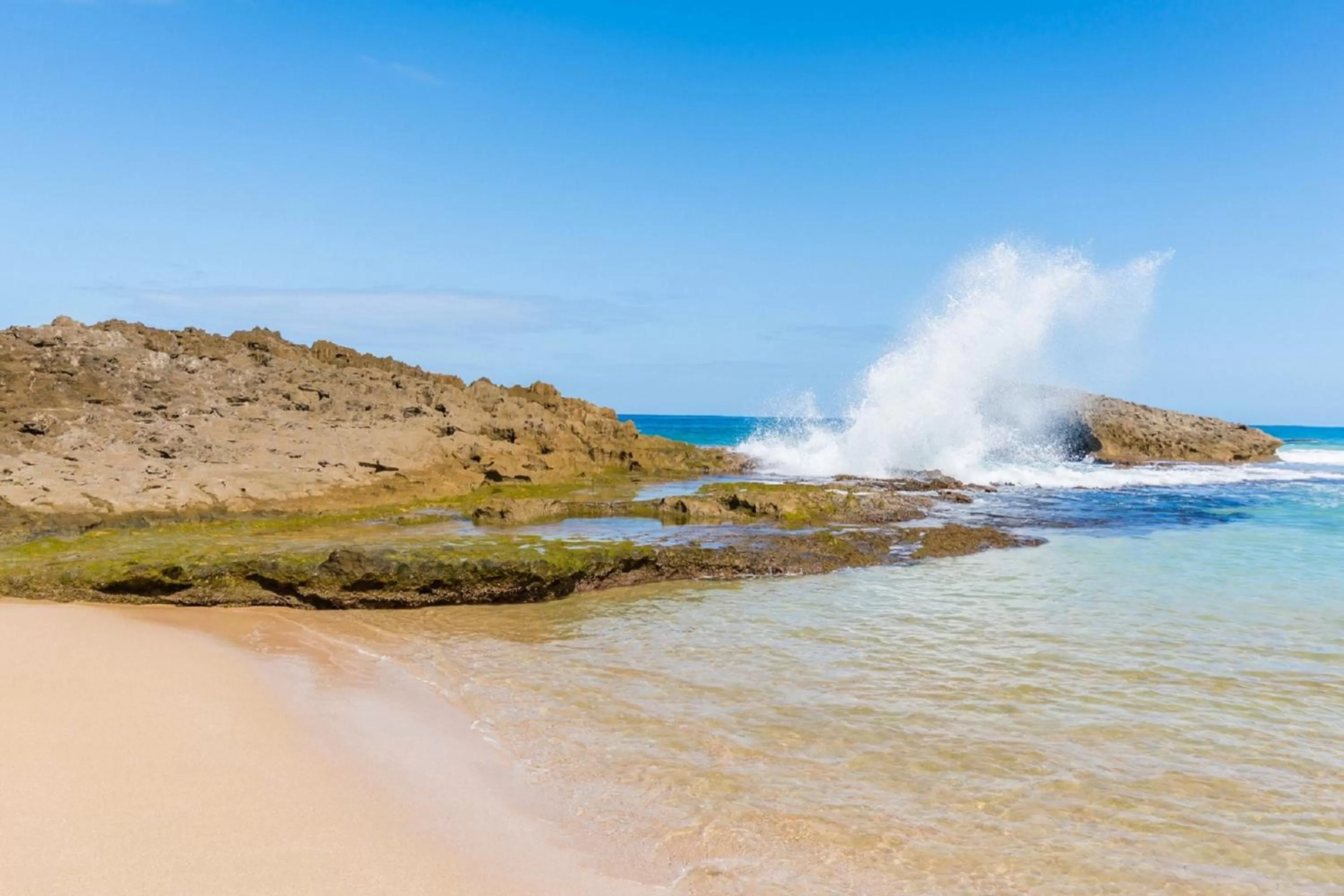 Neighbourhood, Natural Landscape in Discovery Inn & Suites at 681 Ocean Drive