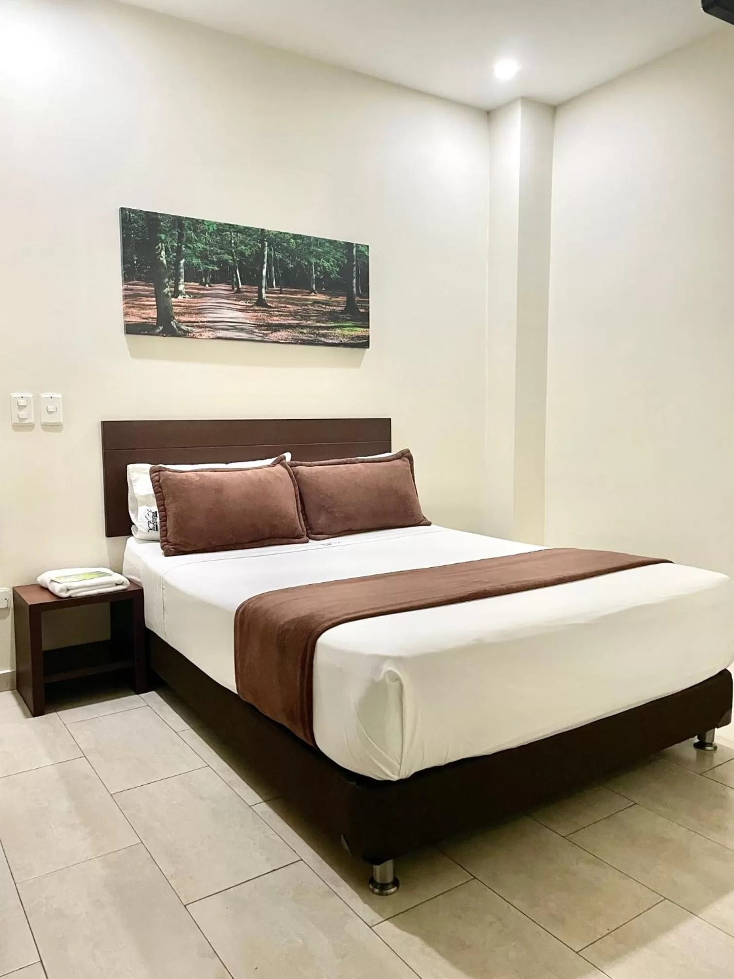 Bed in Hotel Via Principal I