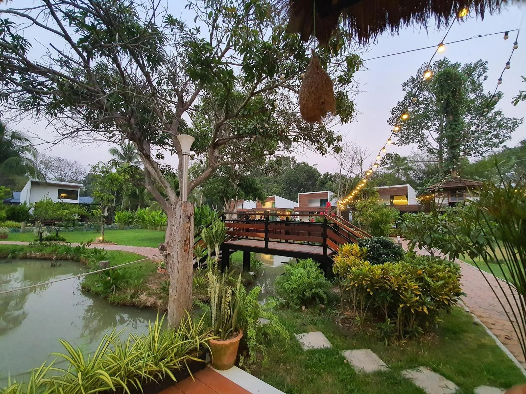 Garden in Villa Panalai