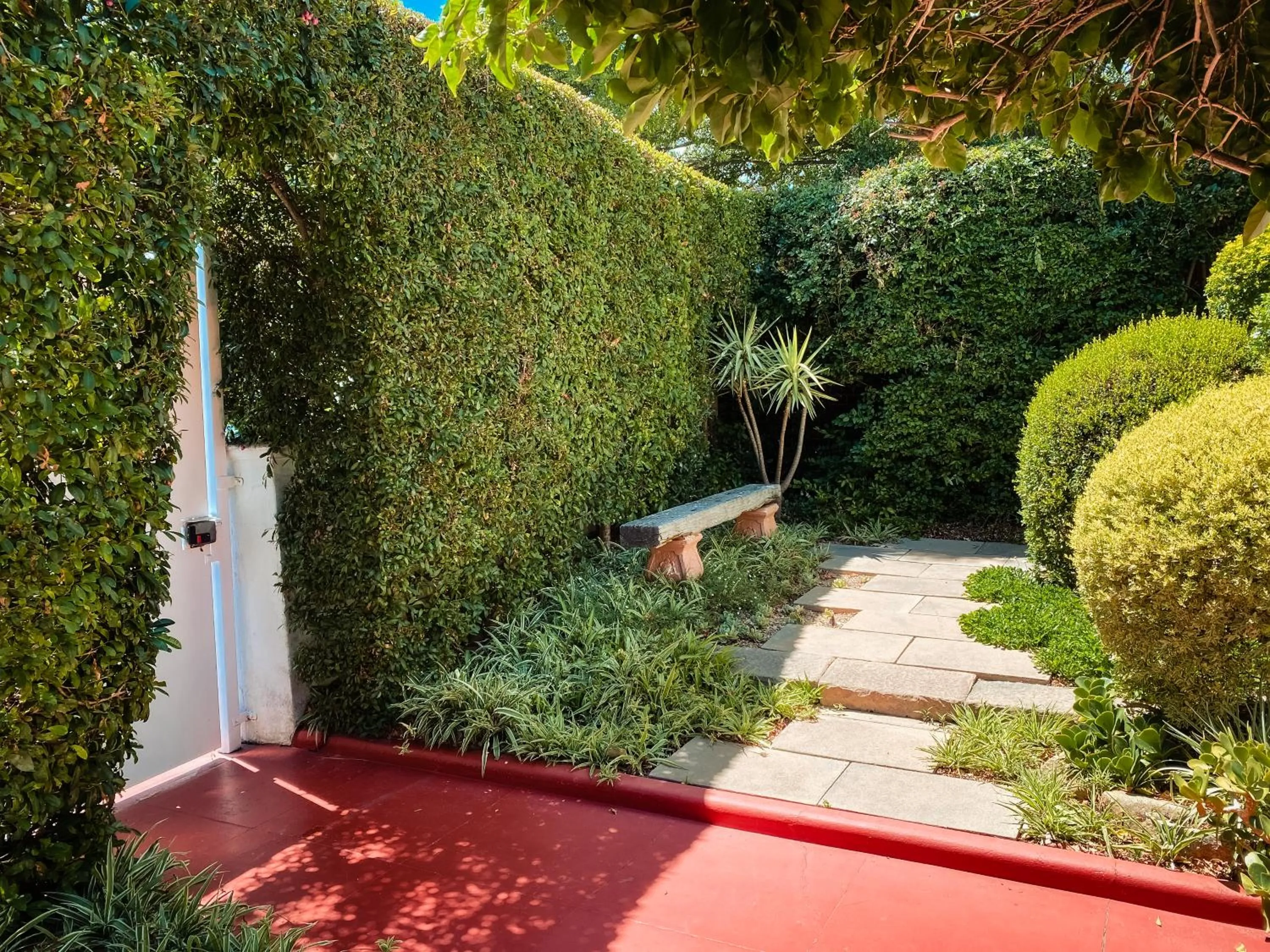 Garden view in 5 Camp Street Guesthouse & Self-catering