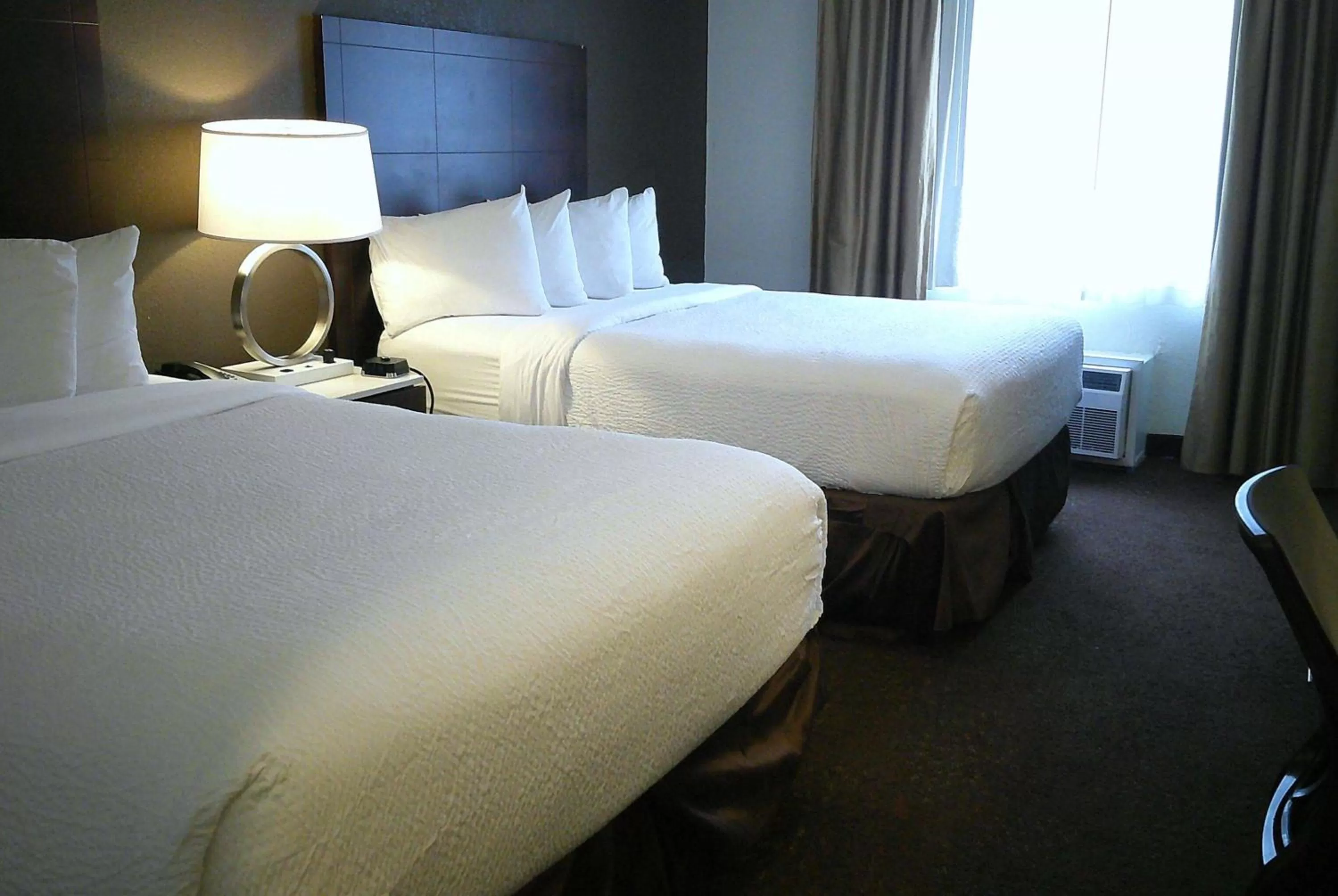 Photo of the whole room, Bed in Wyndham Garden Detroit Metro Airport