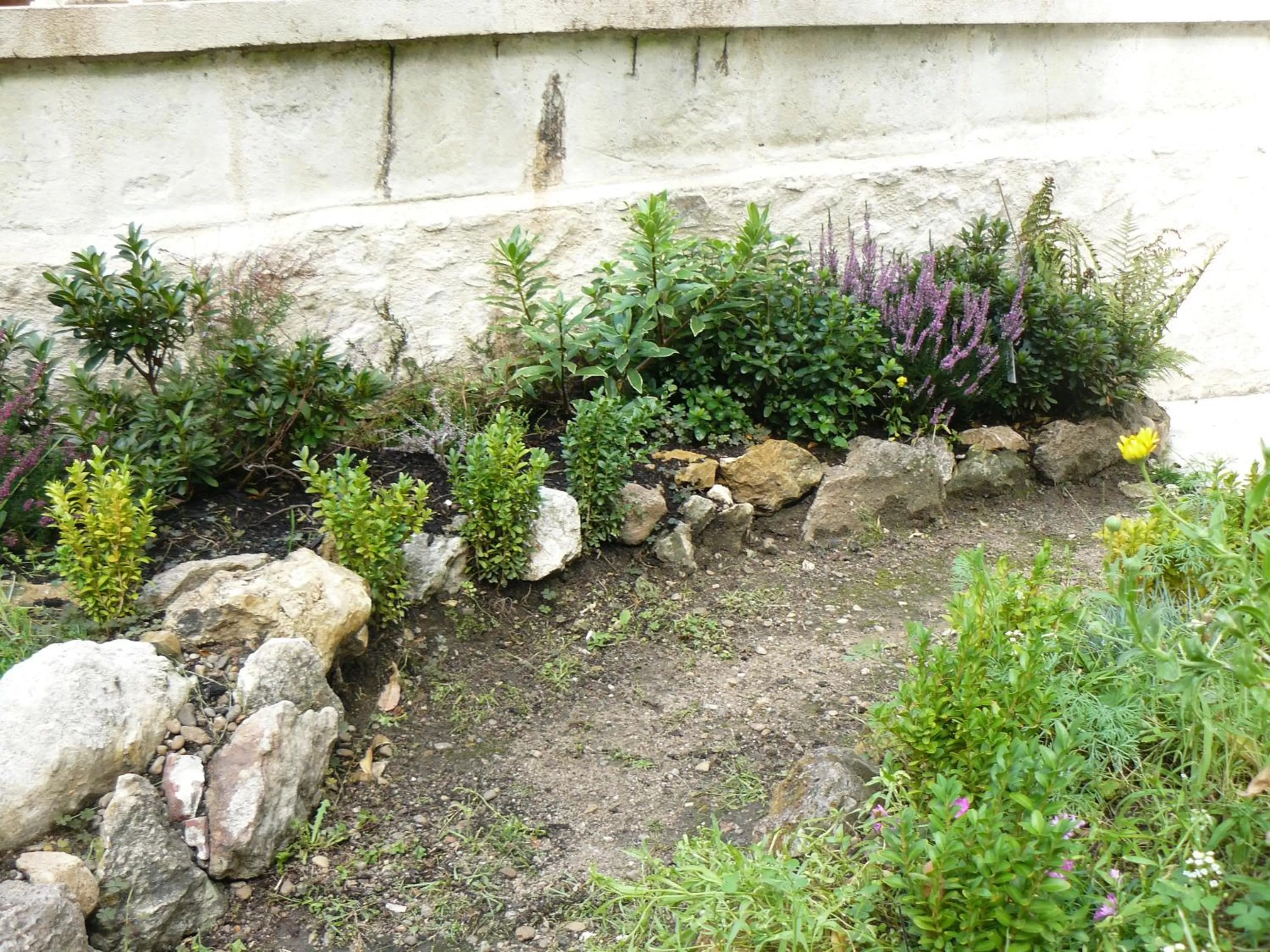 Garden in La Maison de Saumur