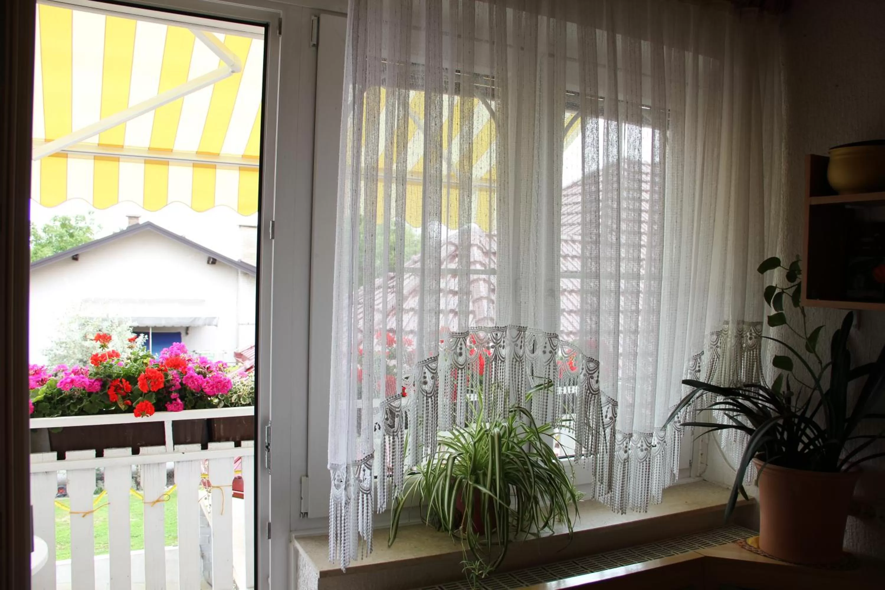 Balcony/Terrace in Mekina Guesthouse