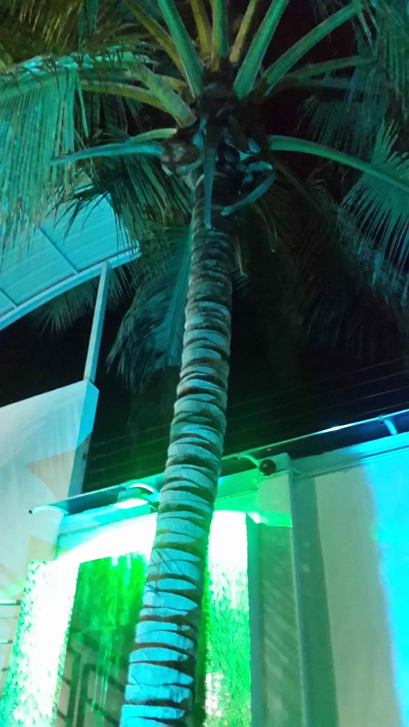 Swimming Pool in Tropical Resort Tocaima