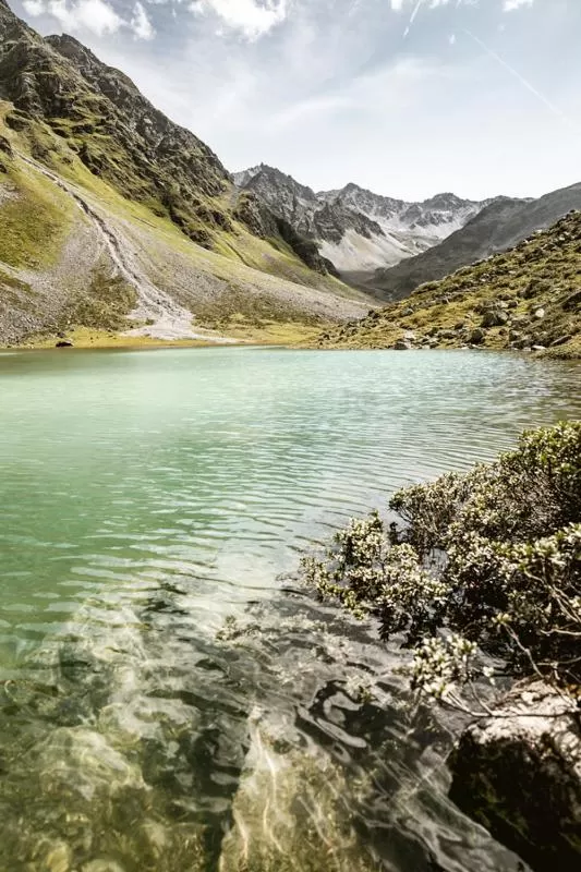 Natural Landscape in Pension Fuchs