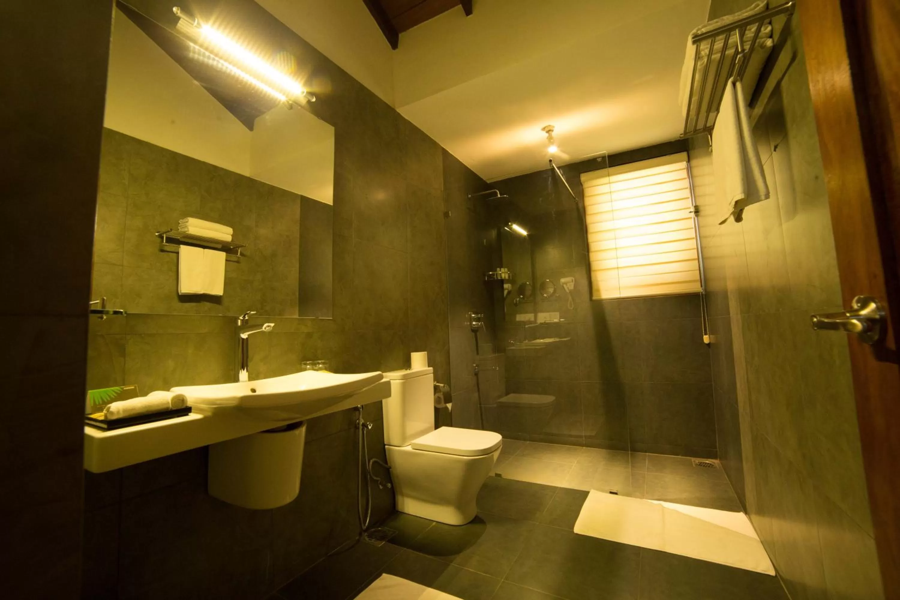 Shower, Bathroom in The Thinnai - All-Suites Boutique Hotel
