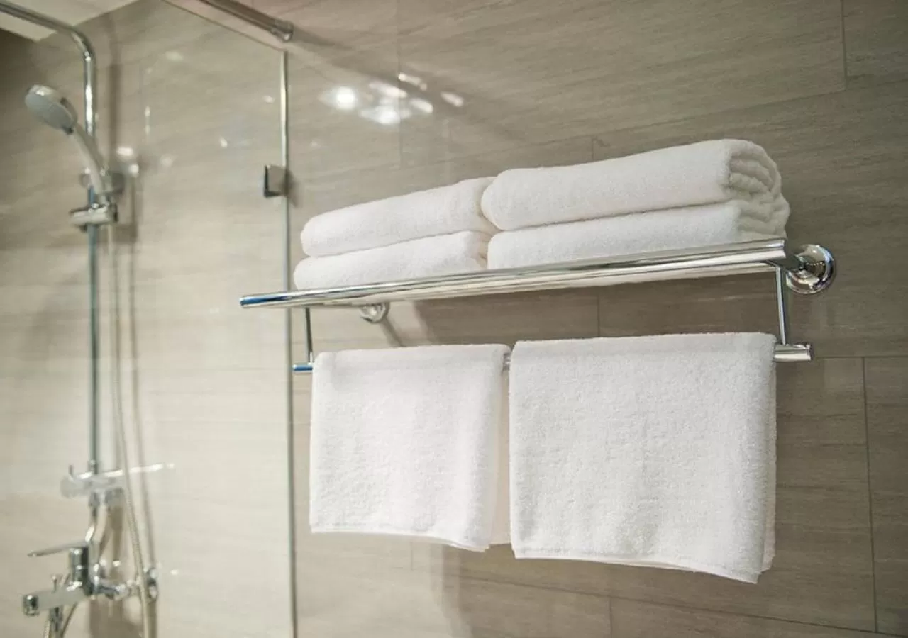 Shower, Bathroom in Hotel Boutique Villa Casuarinas