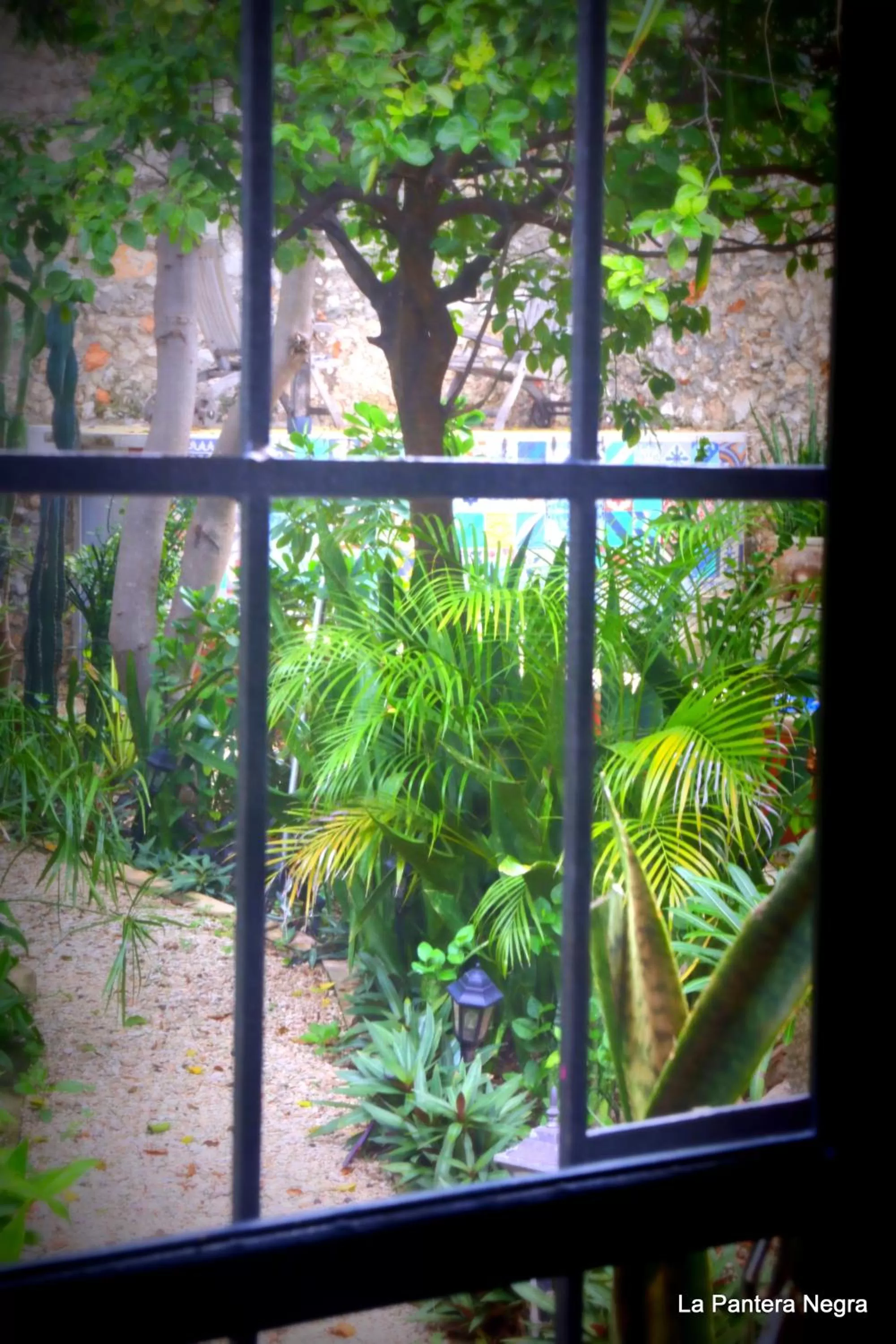 Bathroom in La Pantera Negra