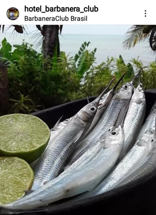 Food in Barbanera Club & Hotel de Charme