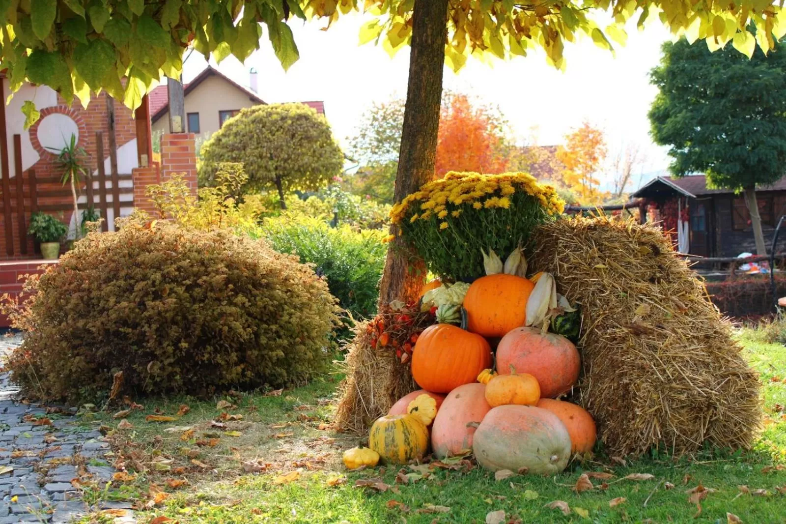 Garden in Horizont Panzio