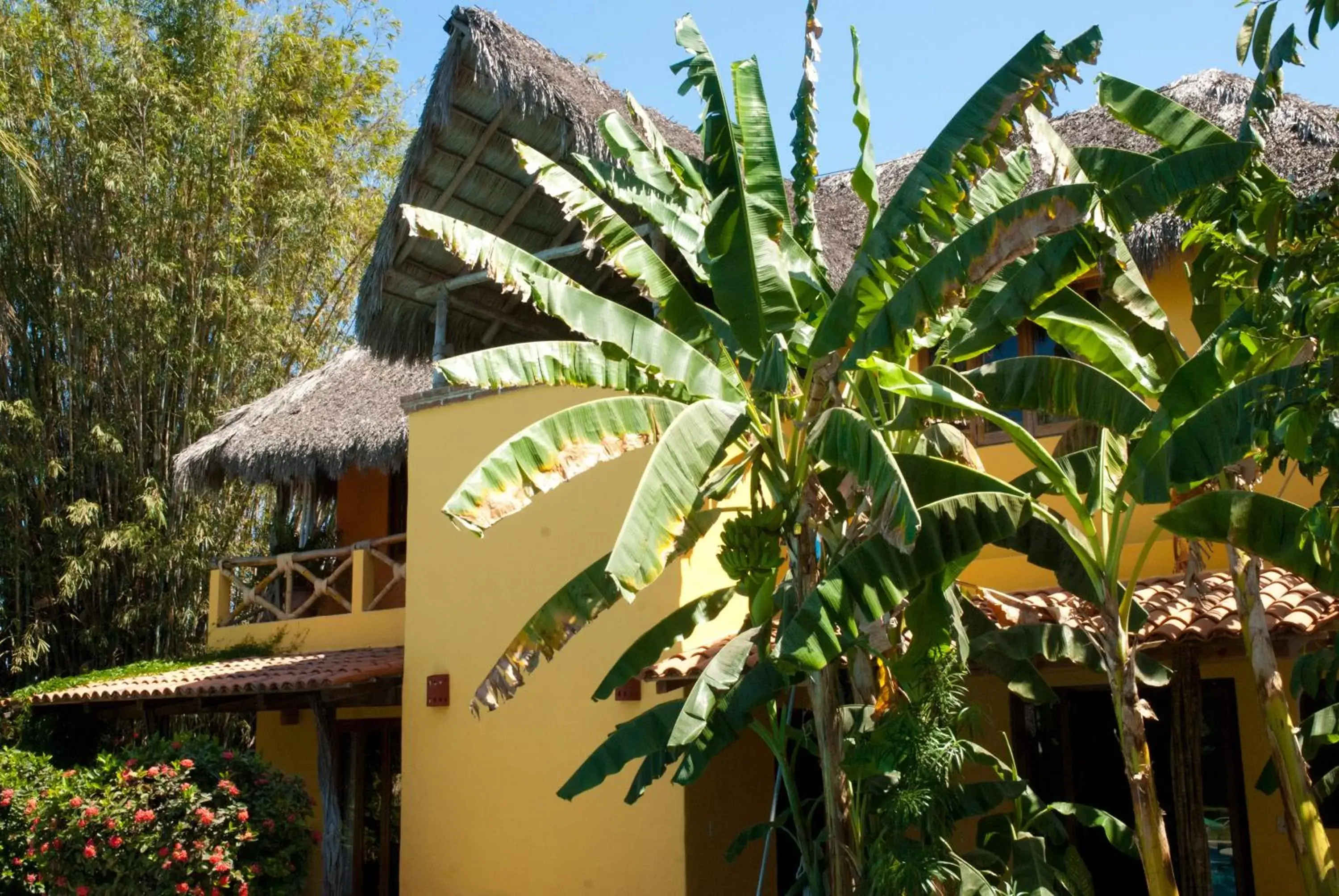 Quadruple Room with Pool View in Casa Villa Magnolia B&B Quadruple Room with Pool View in Casa Villa Magnolia B&B